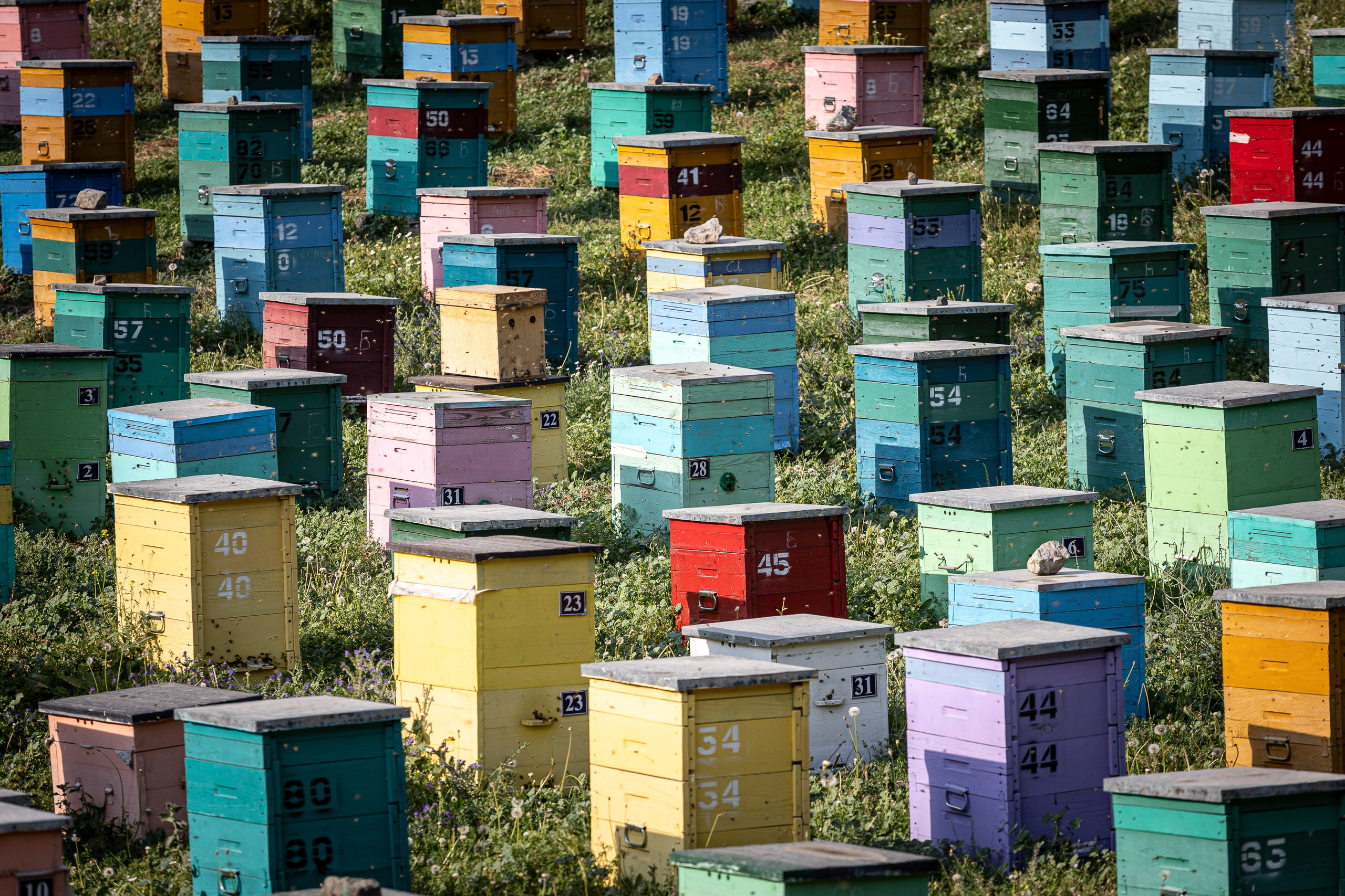 Таджикистан. Добродеева Алла фотограф, Москва