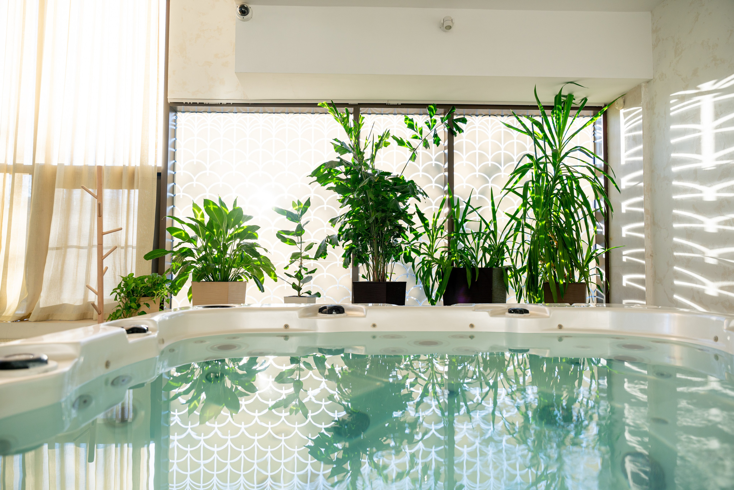 БУТА СПА. Фотограф на любое мероприятие