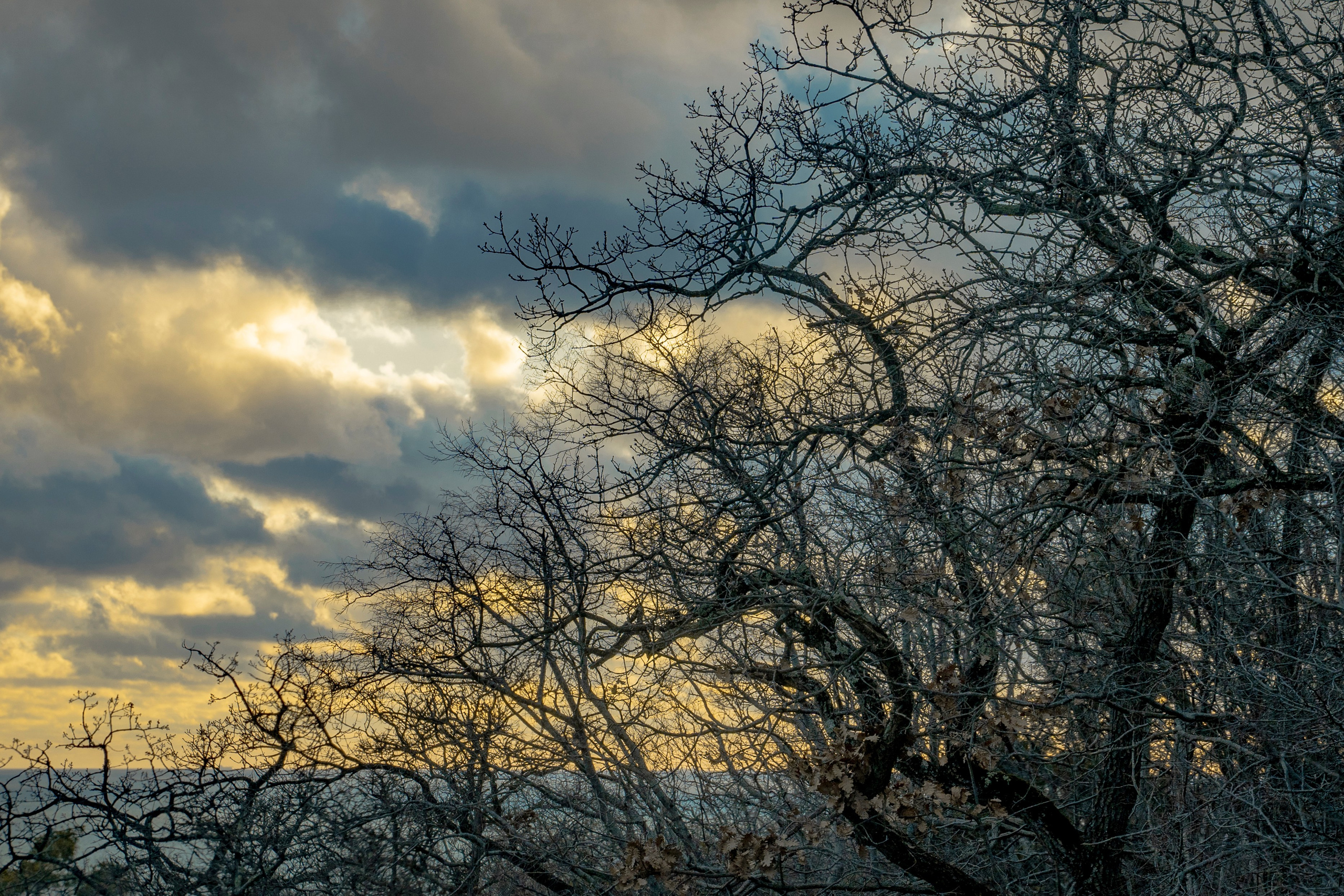НАД ВОДОЙ. Фотограф Татьяна Андриянова