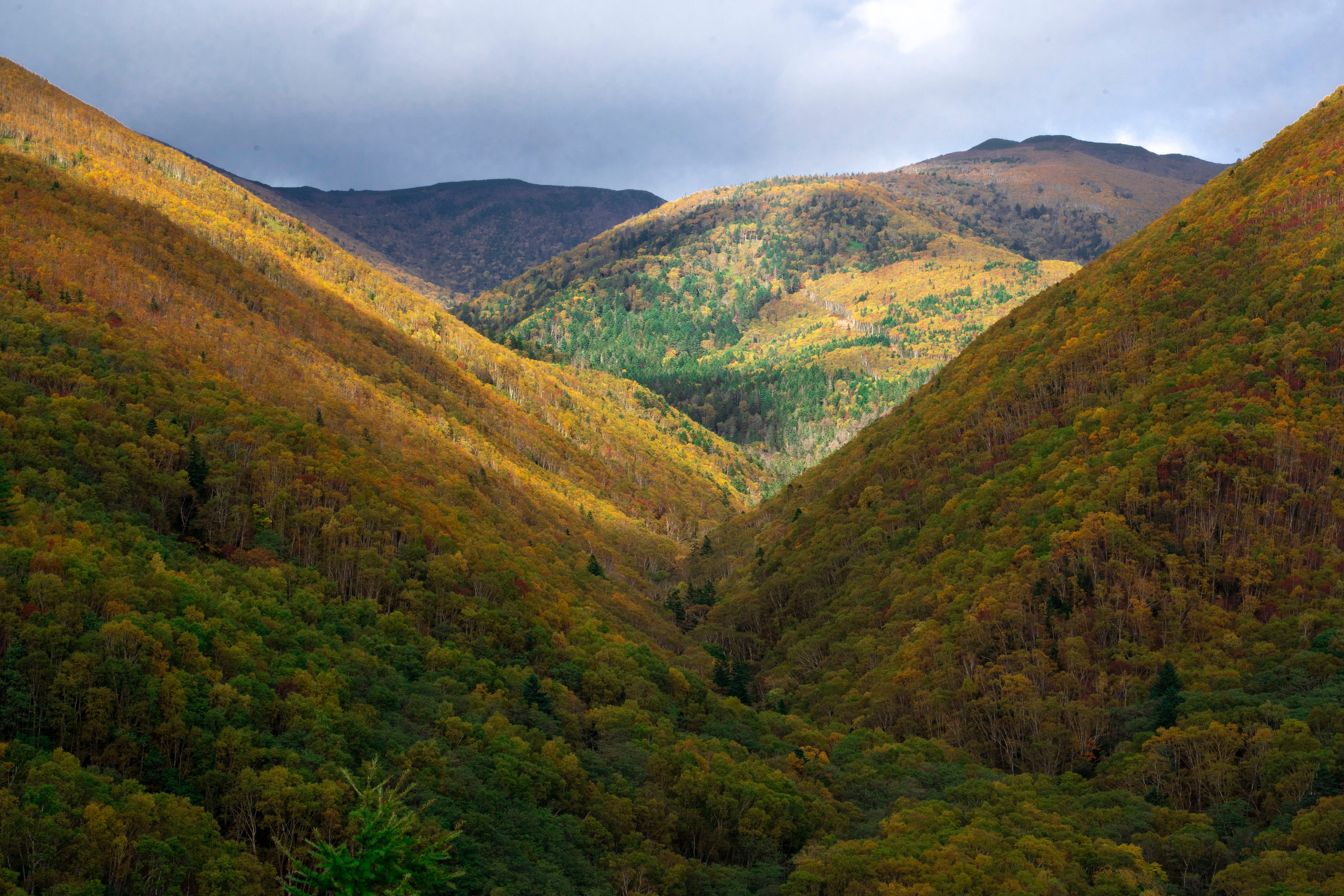 НАД ВОДОЙ. Фотограф Татьяна Андриянова