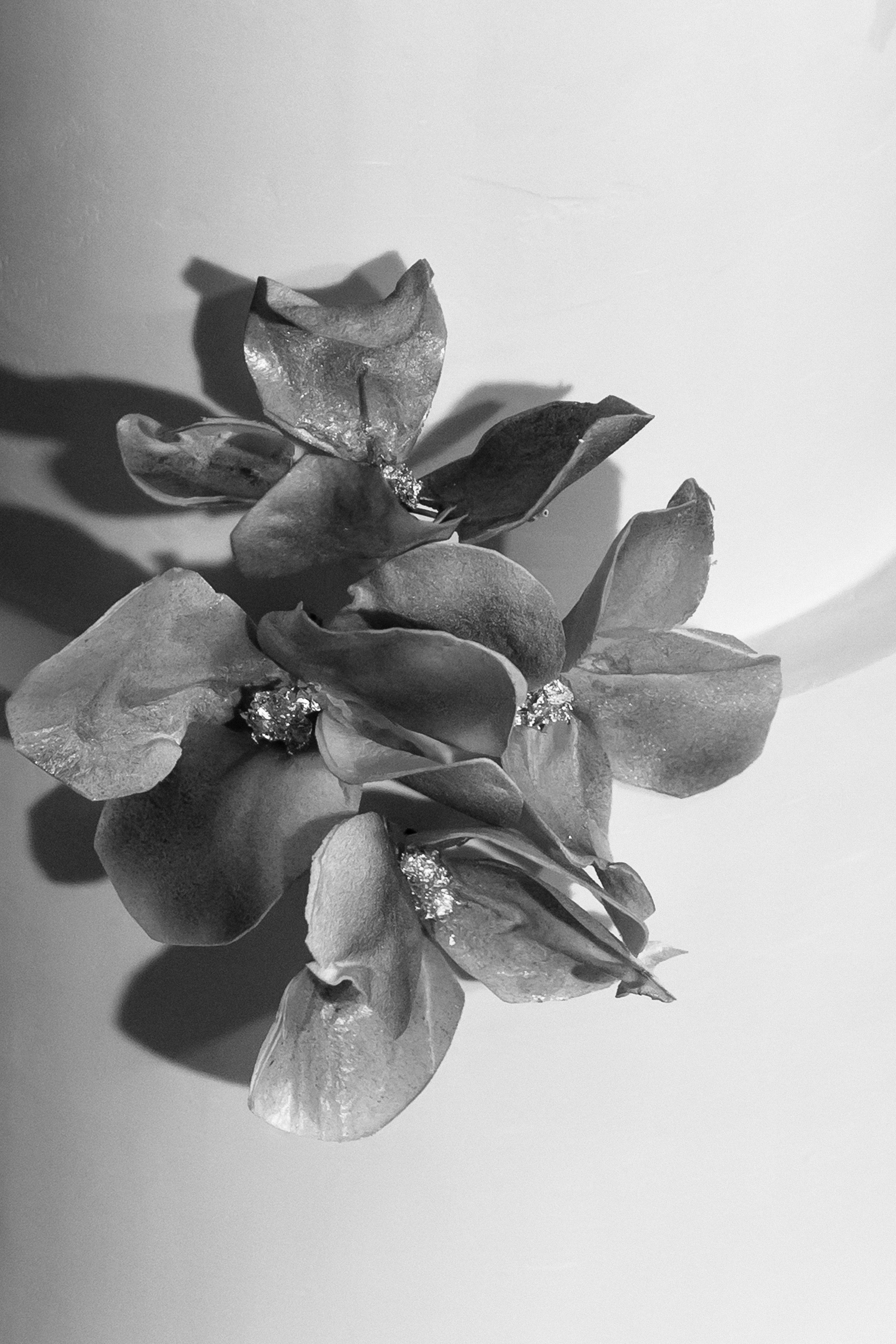 Андрей и Ксения. Свадебный фотограф Чижкова Любовь. Нижний Новгород