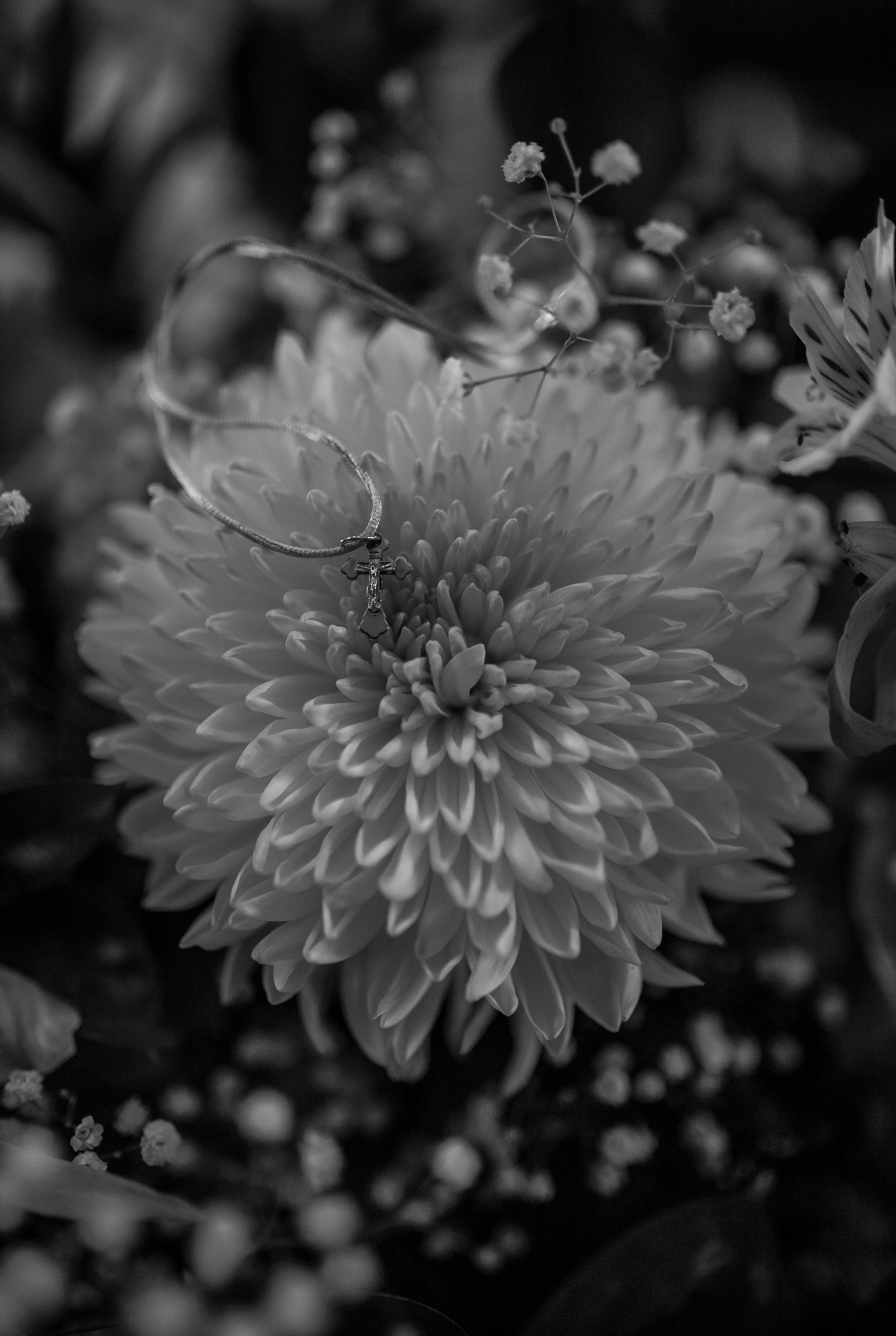 Кира. Семейный фотограф Губкин/Старый Оскол