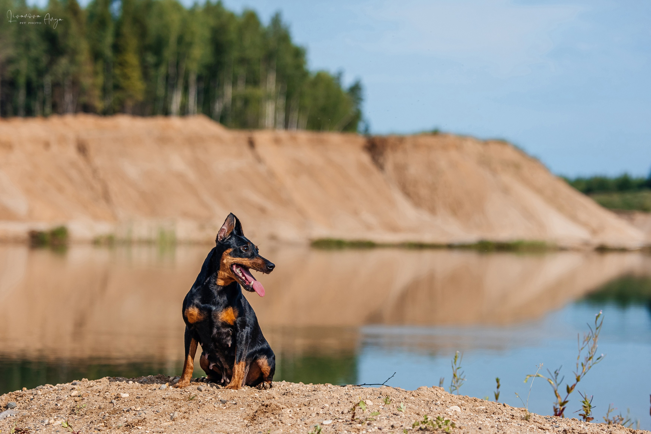 Троицкий карьер. Фотограф анималист Аня Ливанова | Рыбинск