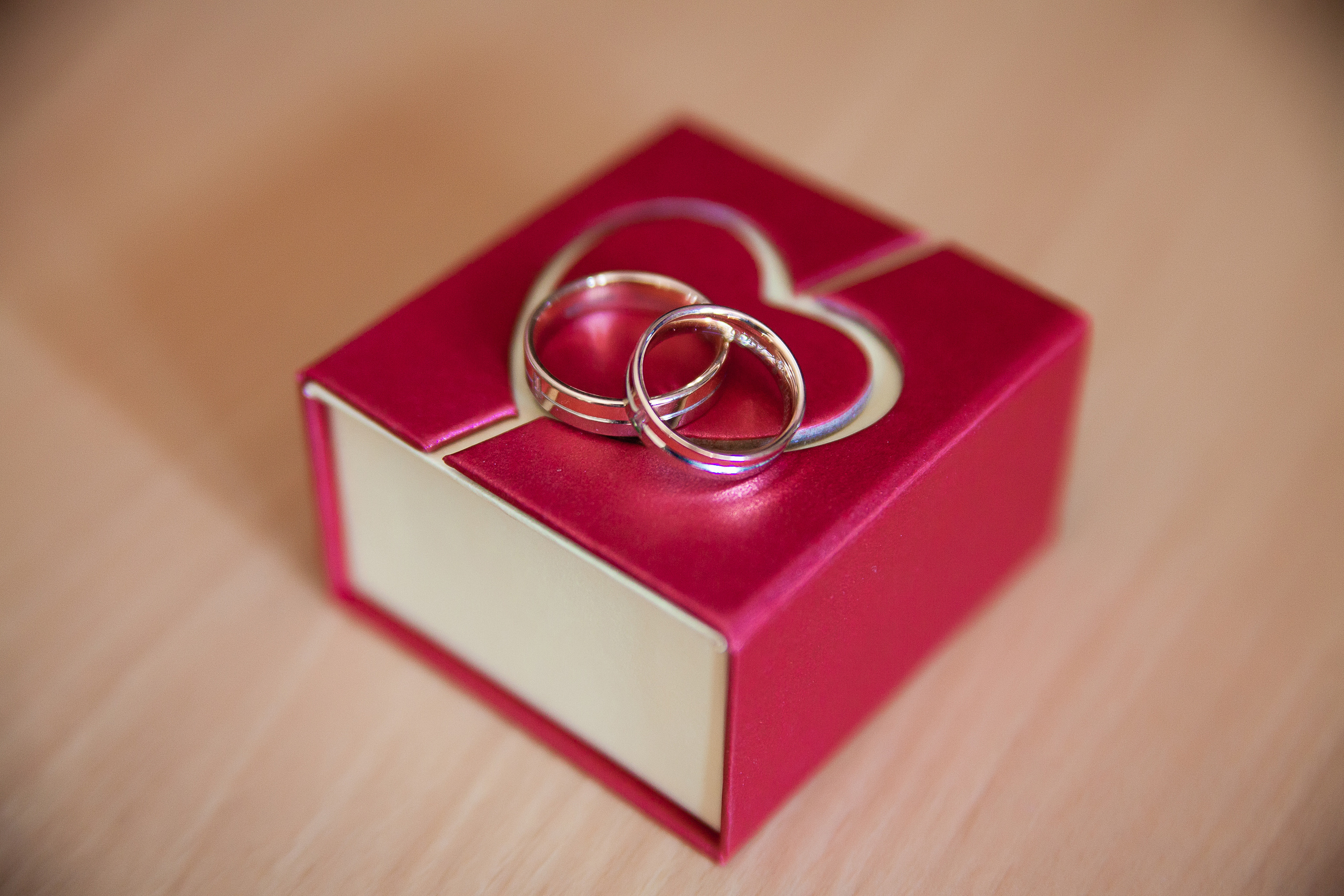 Светлана и Михаил. Фотограф Валерий Савиовский