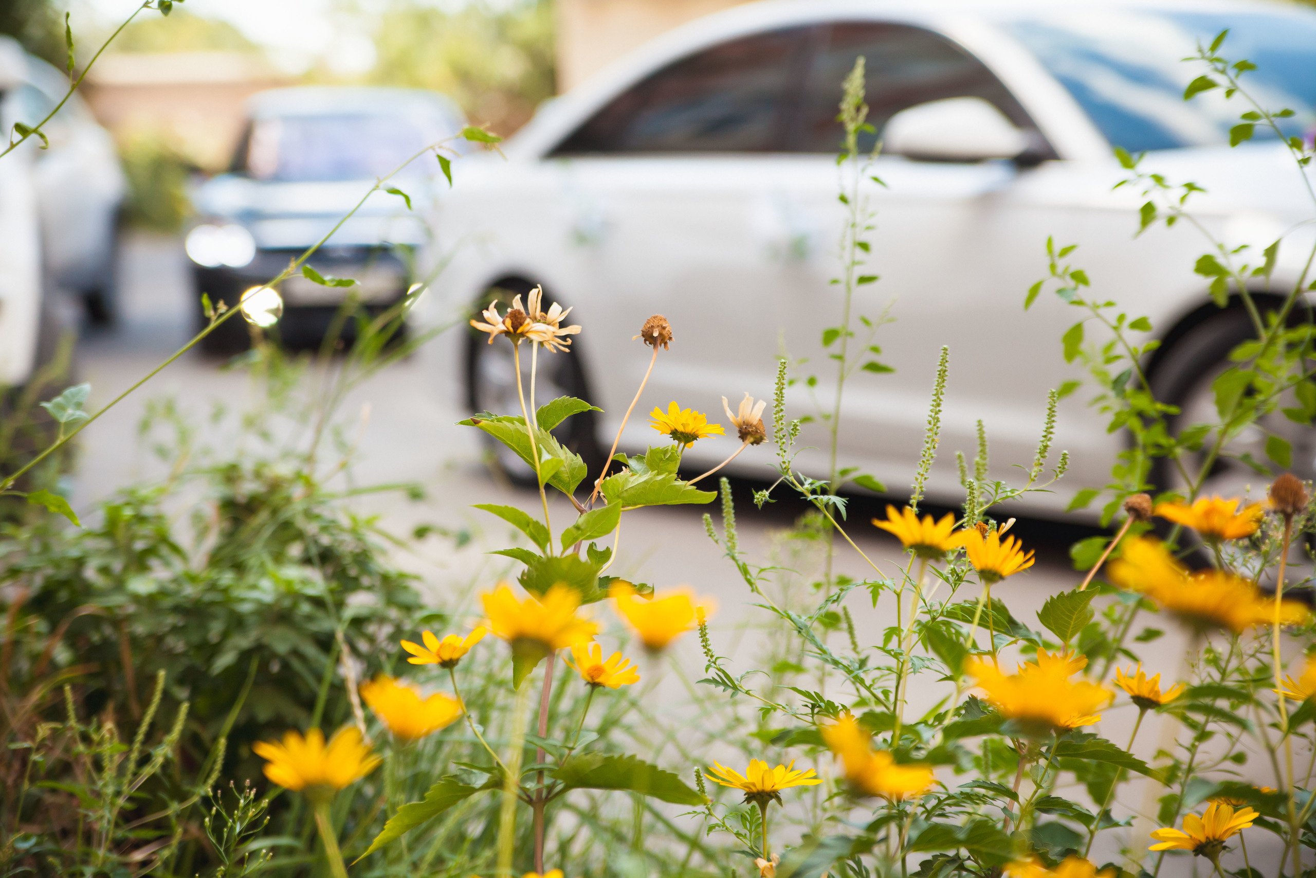 Оксана и Сергей. Фотограф Валерий Савиовский