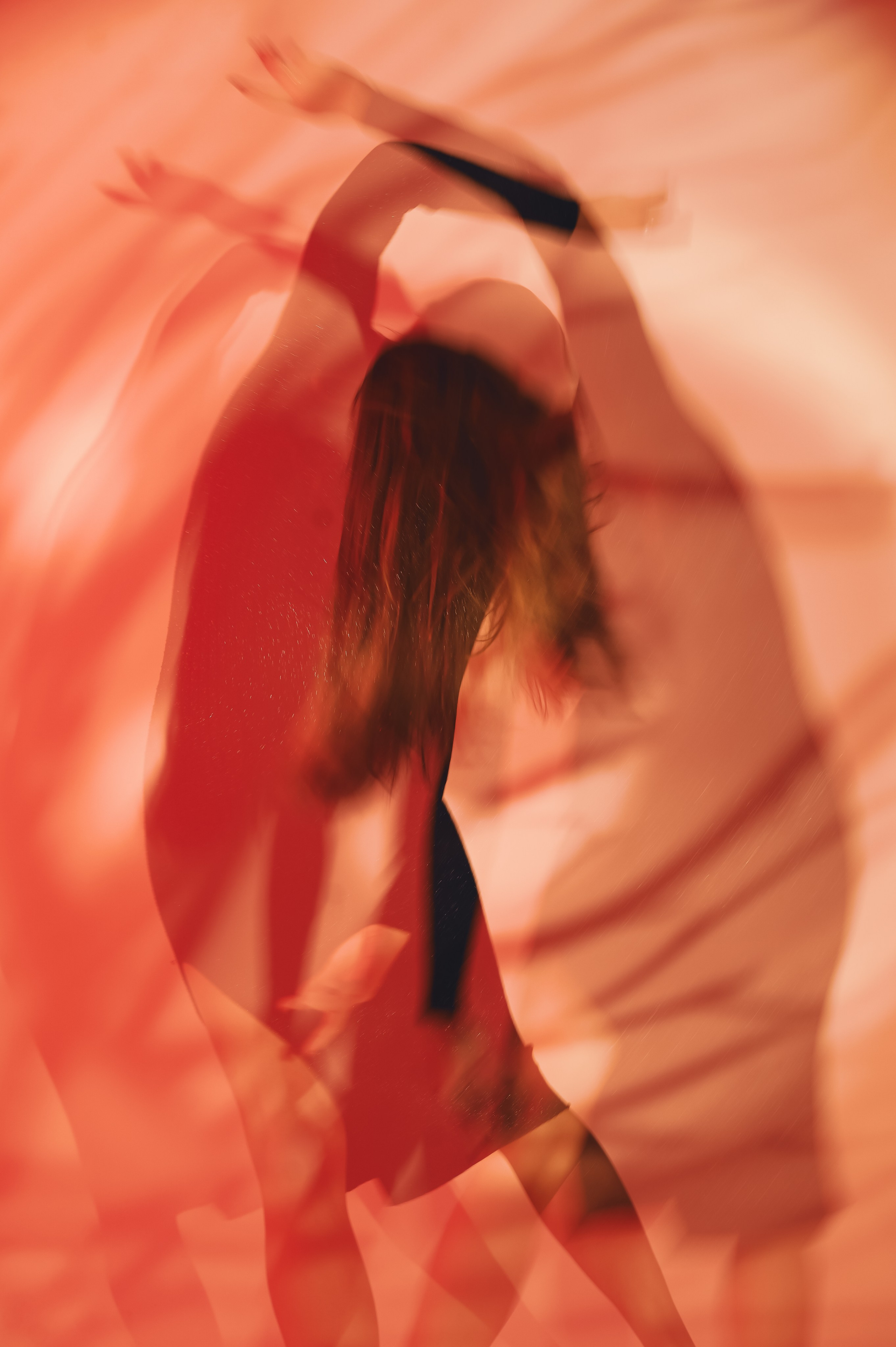 Фото проект "Внутри". Был представлен на выставке в Дортмунде Германия январь 2025 года. Спортивный фотограф в Москве Фадеева Ирина. Соревнования, турниры, чемпионаты по танцам. отчетные концерты, съемка под водой