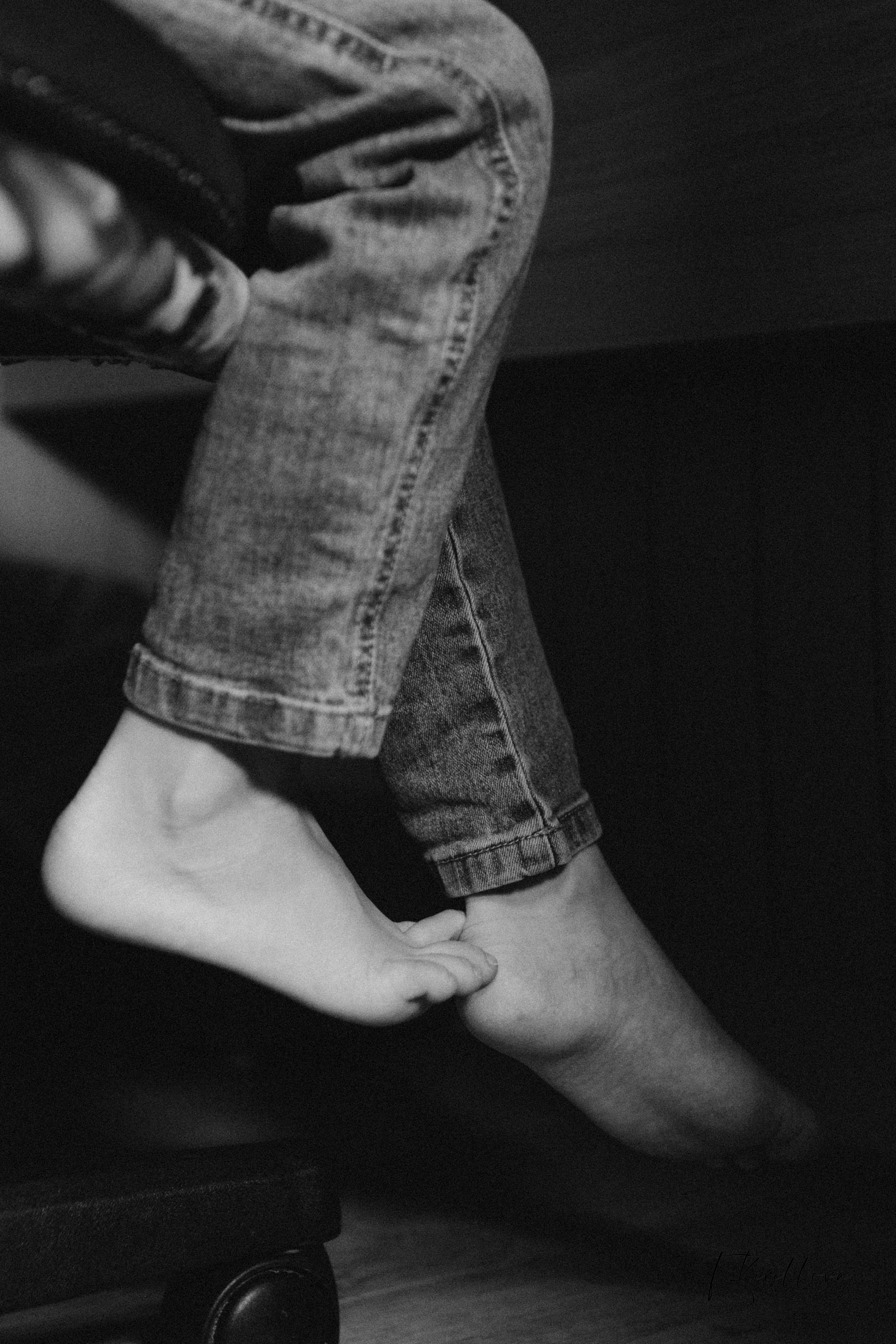 Новогоднее утро. Фотограф-анималист в Москве Кириллова Татьяна