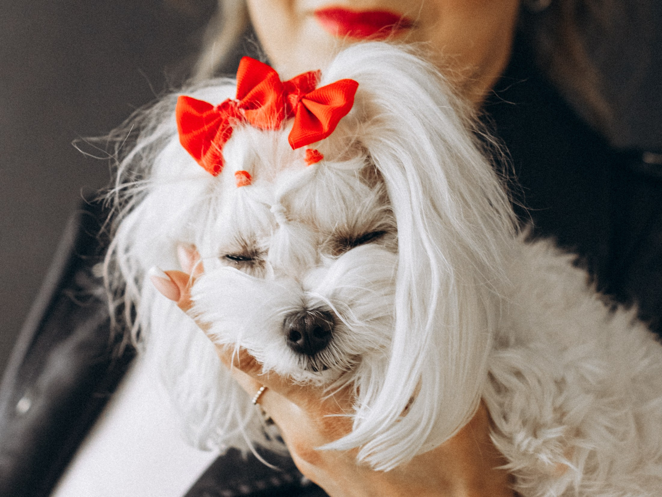 Мира и Таня. Фотограф-анималист в Москве Кириллова Татьяна