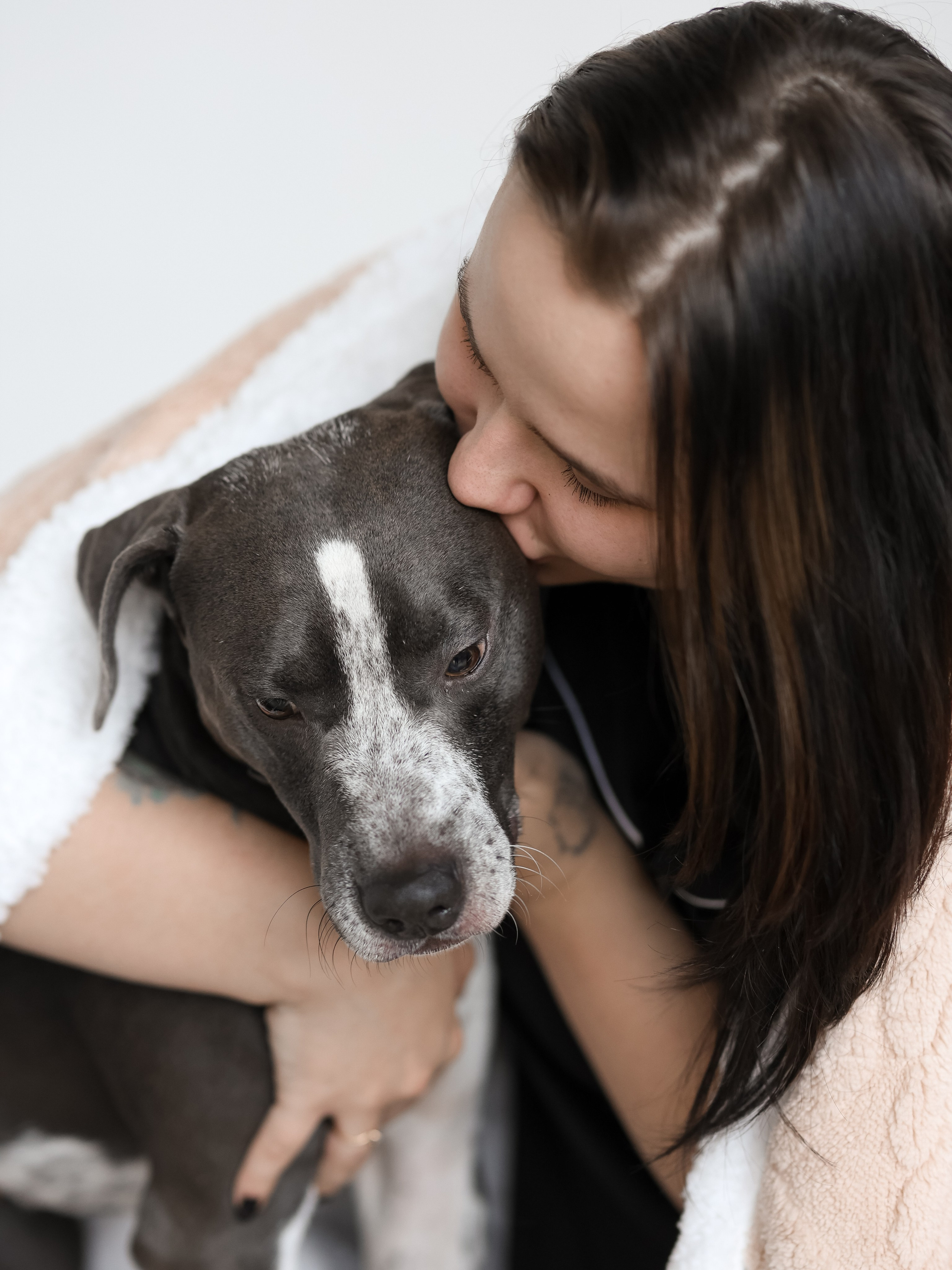 Тортик Даша и Никита. Фотограф-анималист в Москве Кириллова Татьяна