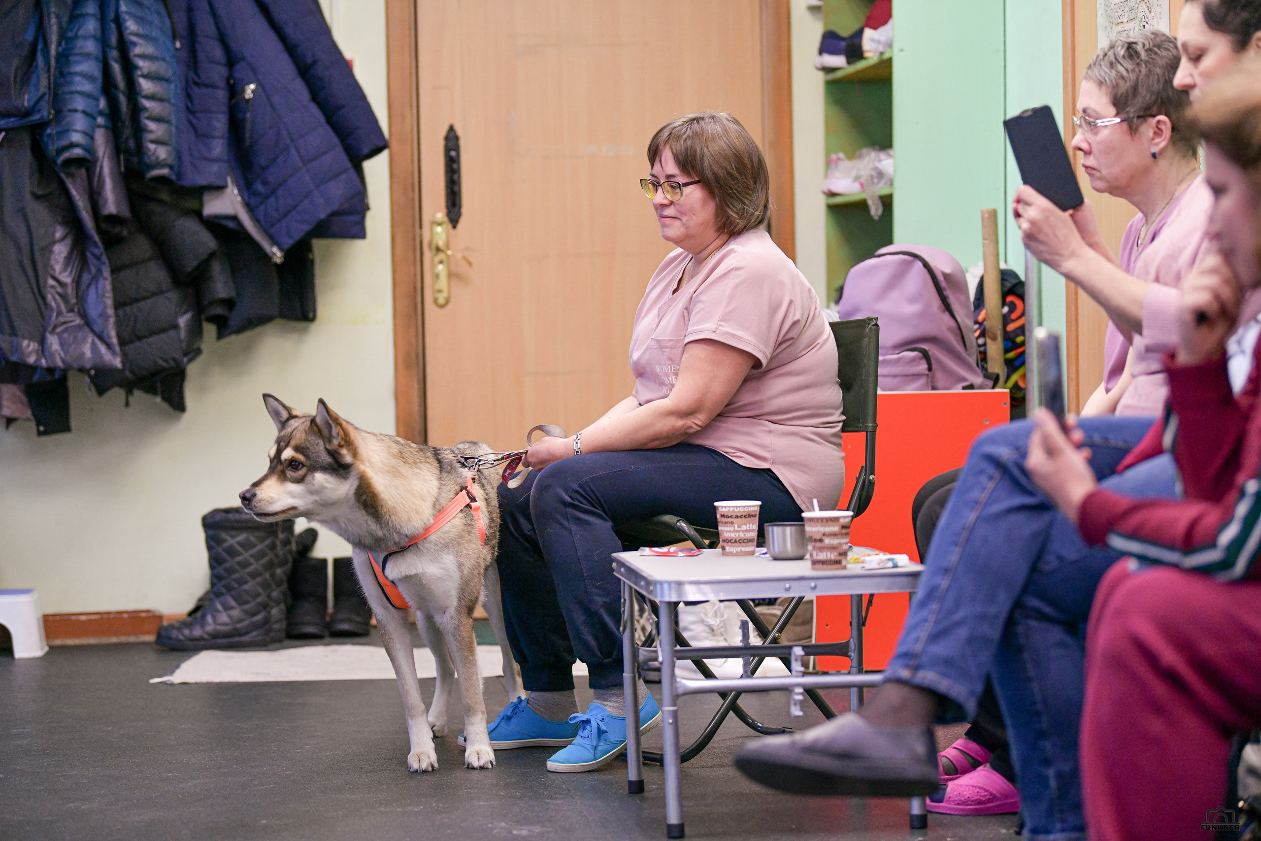 Кинологический клуб «Бодрый хвост». Свой взгляд через объектив