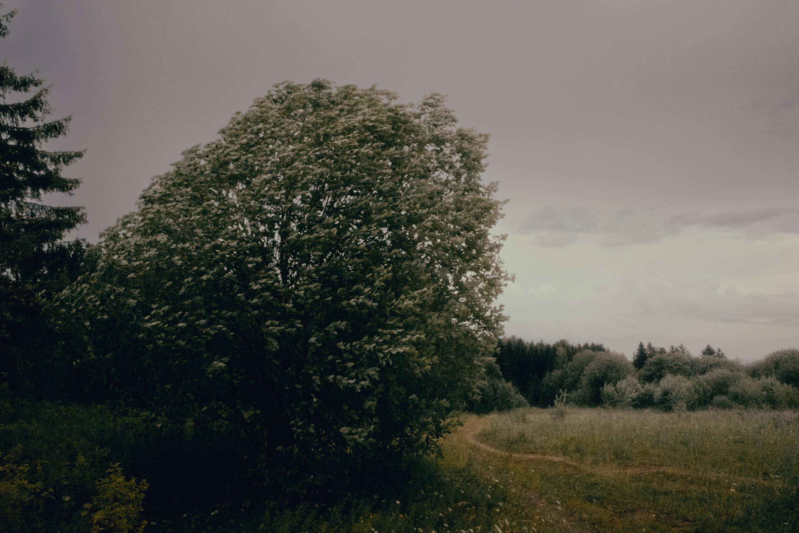 Пейзаж. Фотограф Александр Тихонов