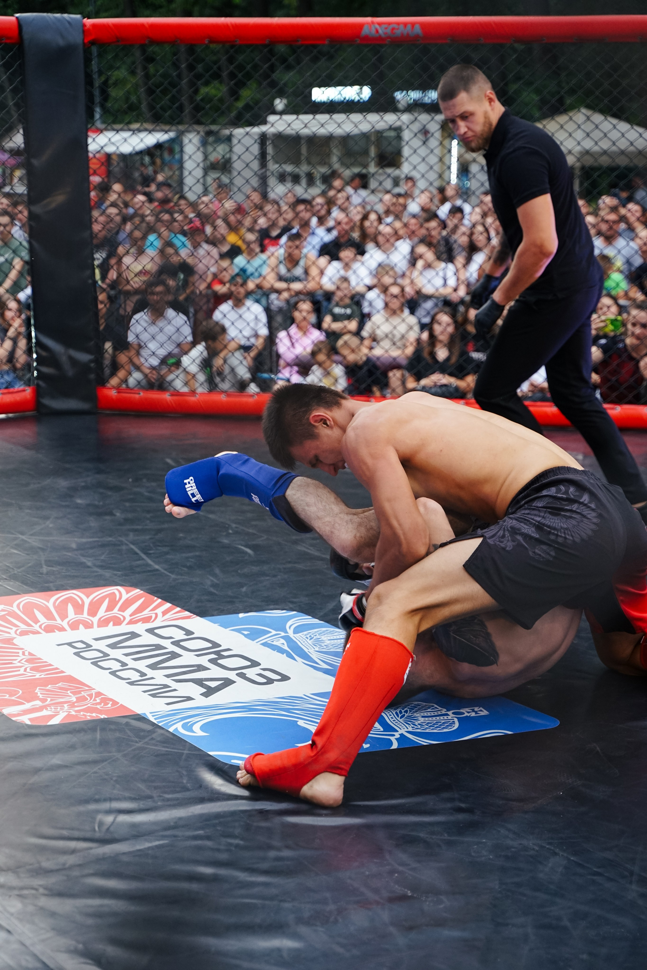 Вечер боев в ЦПКиО. Фотограф Надежда Погребняк | Рязань | Москва