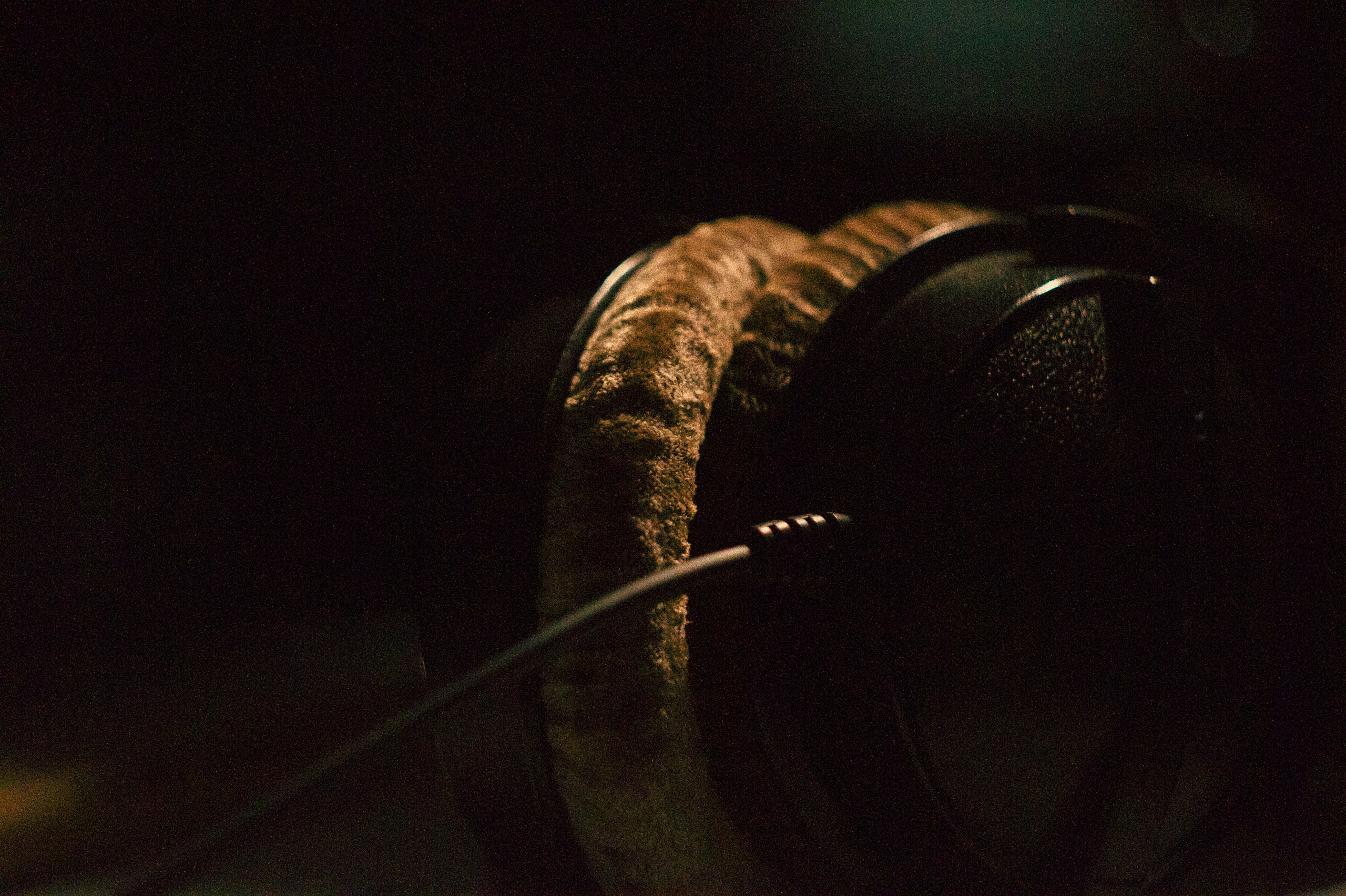 VLAD# — Голова Муэссы — Параметрика — Запись Барабанов. Фотография для артистов