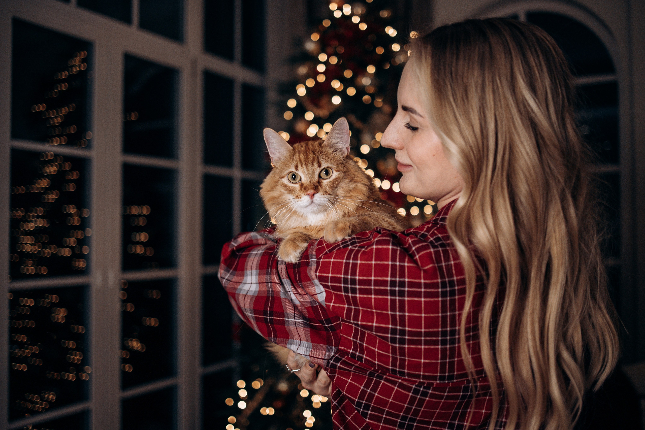 Эля и Франц. Фотограф — Анималист | Санкт-Петербург