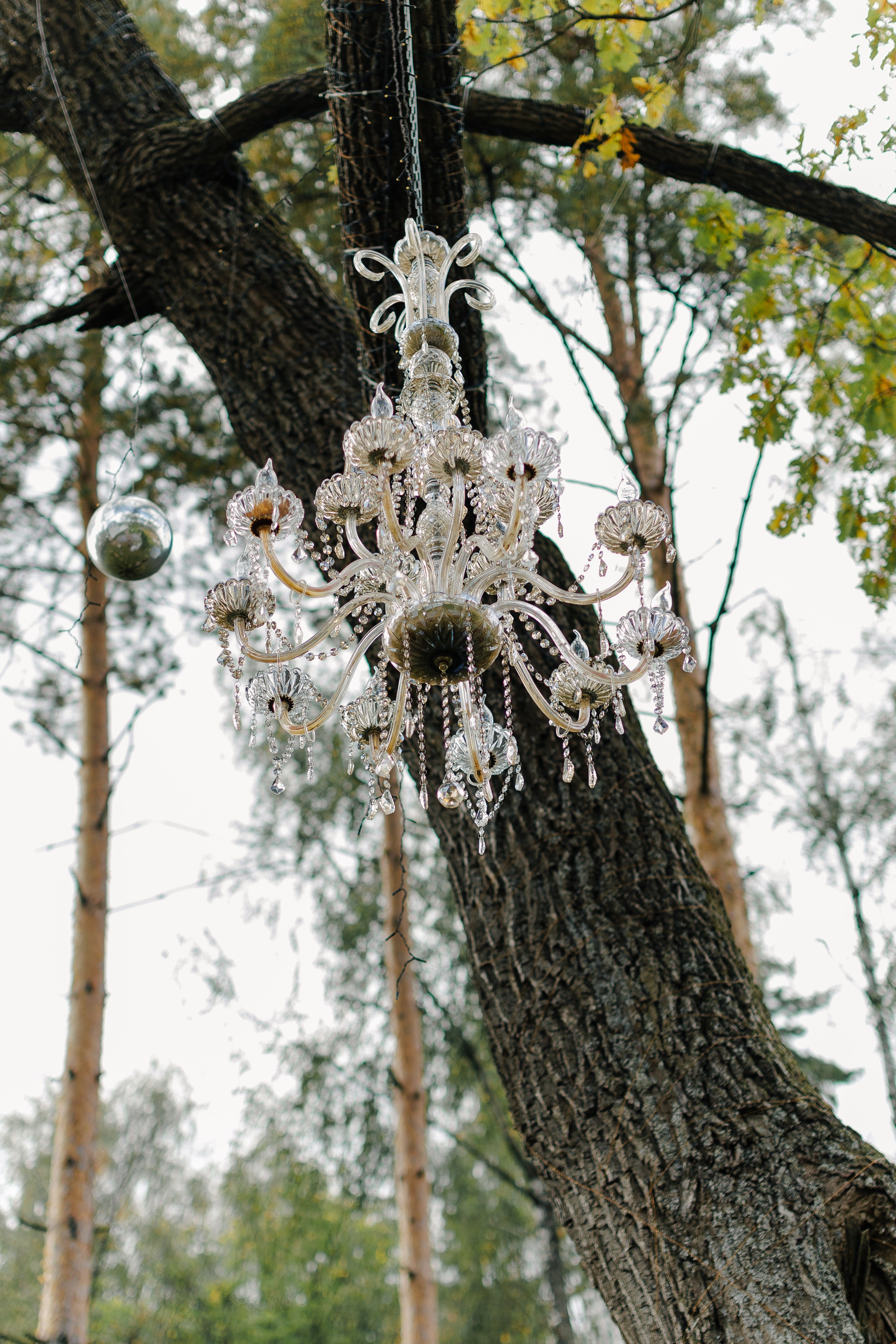 Свадебные Сьемки. Главная