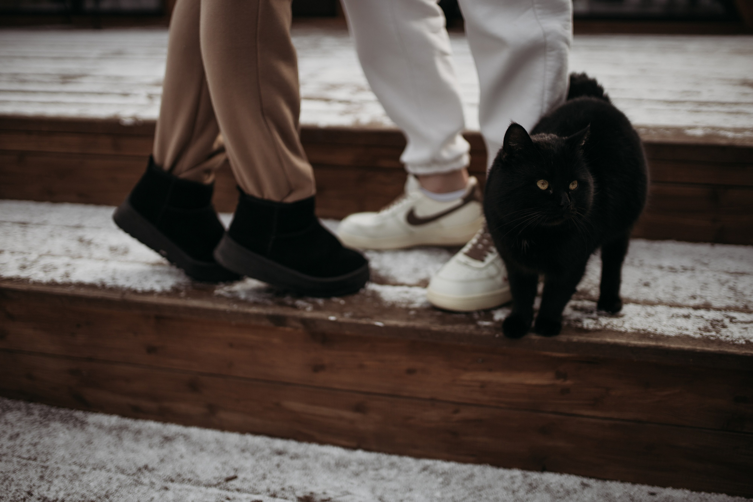 Агата и Женя. Семейный фотограф Губкин/Старый Оскол