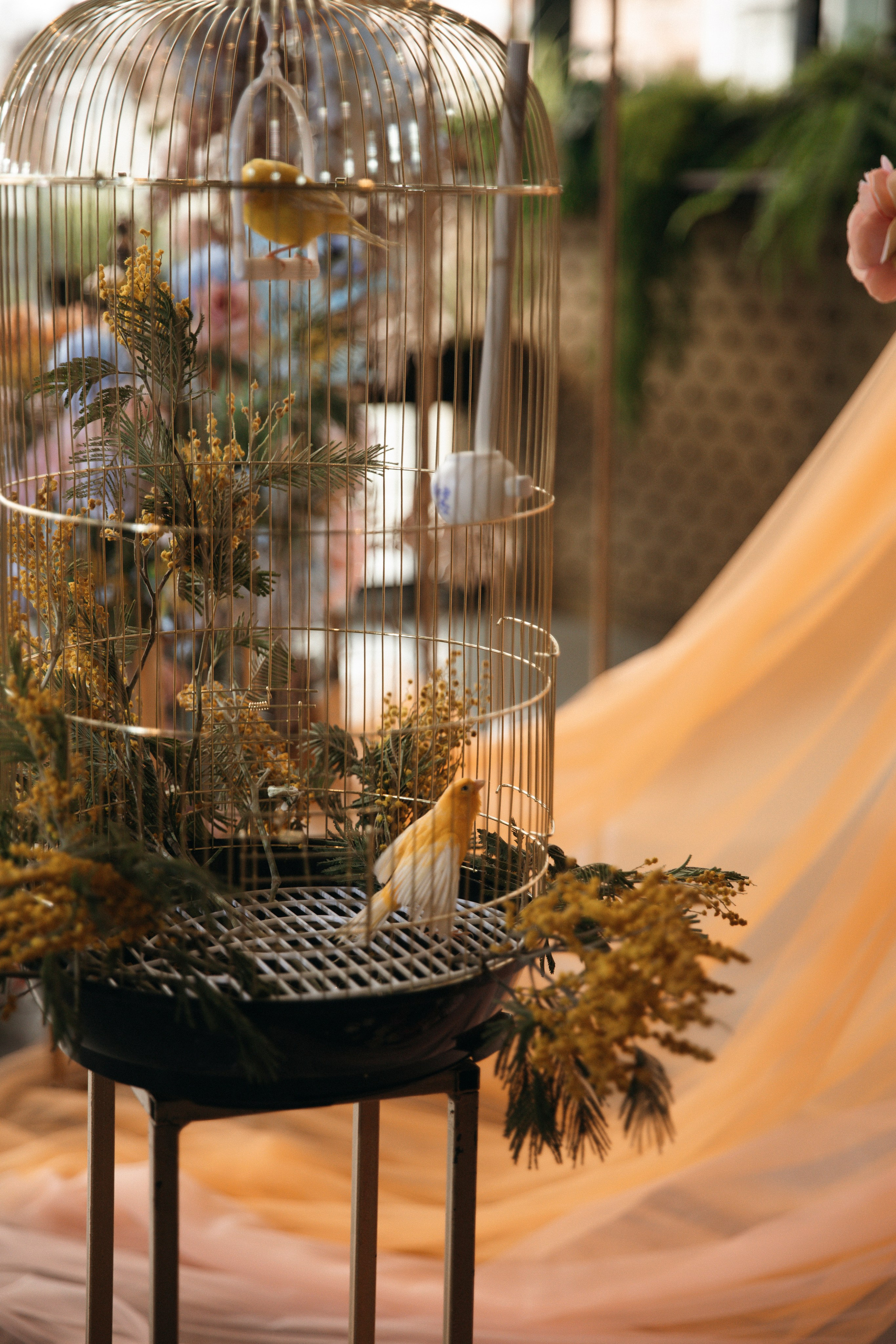 София и Лука. Nikolpinhasova