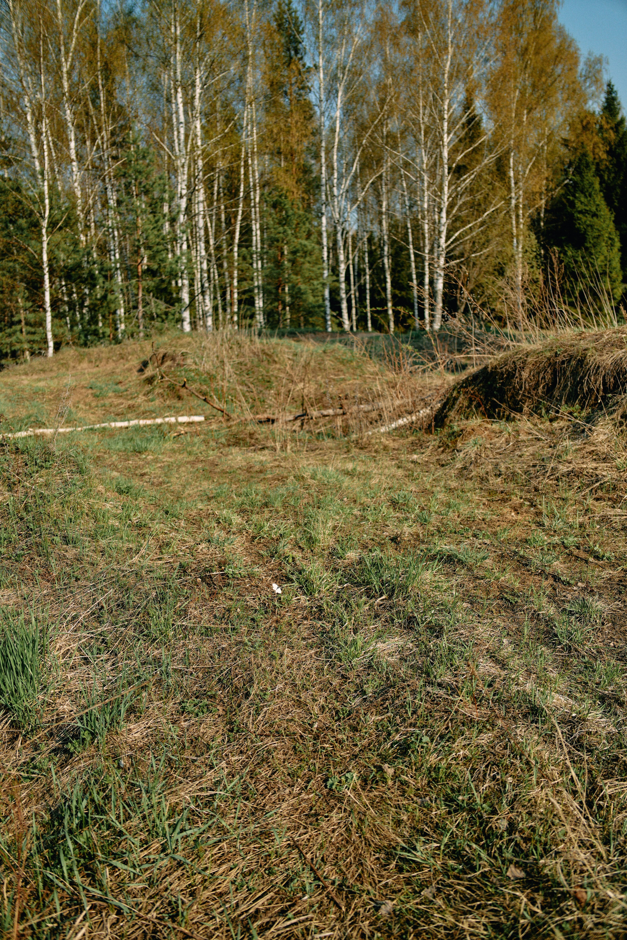 Бутик-отель Поле летом. Профессиональный Фотограф во Владимире, в Москве и в Суздале — Полина Романычева
