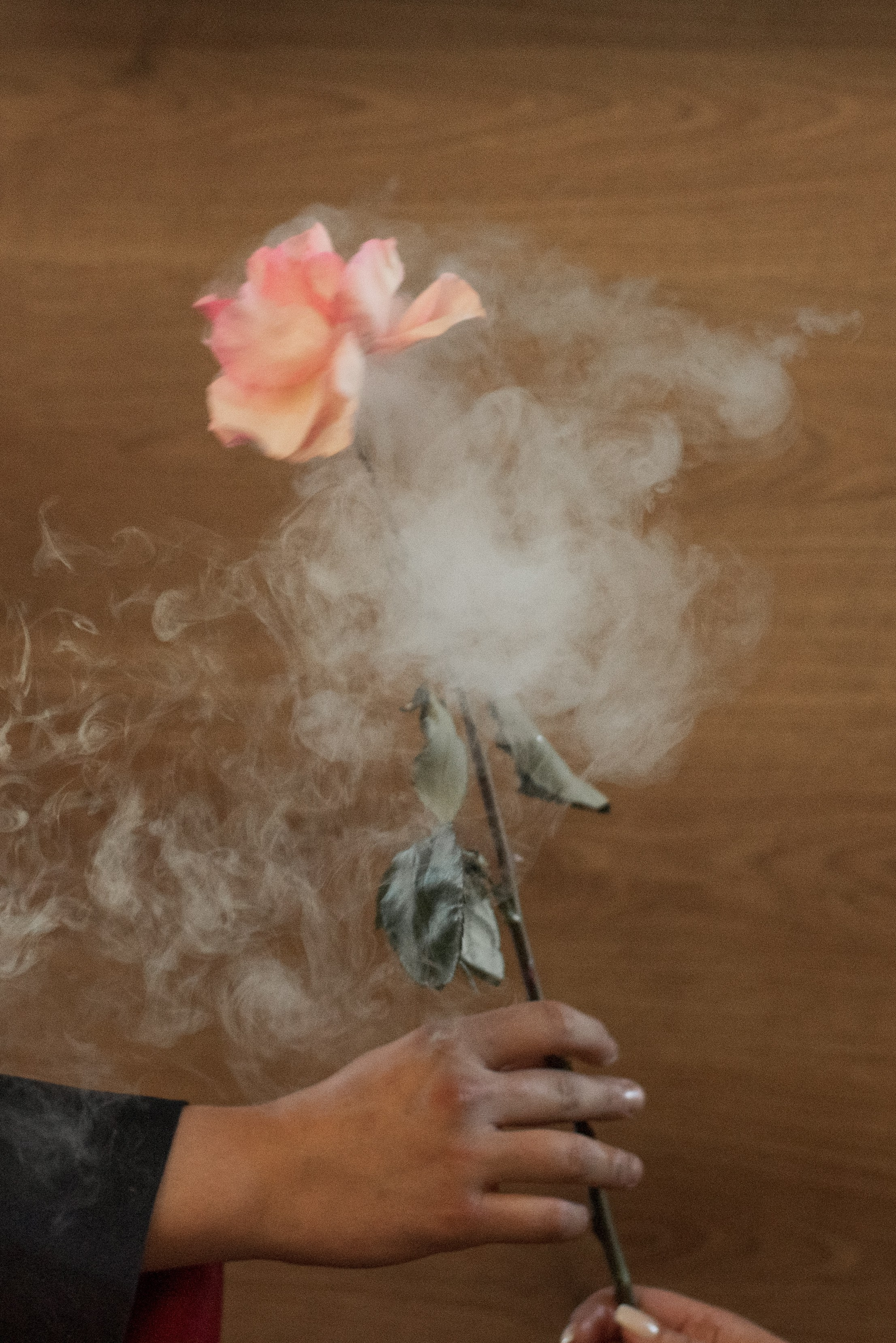 День рождения. Семейный фотограф Екатерина Шаманаева