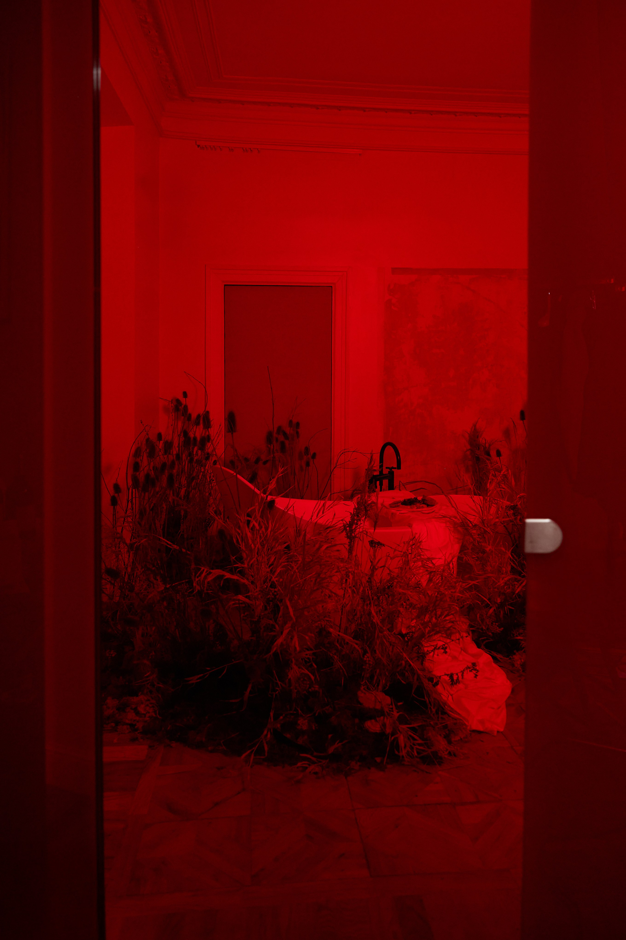 Лера & Вова. Оформление свадеб, декор свадеб Вера Маркова, Москва