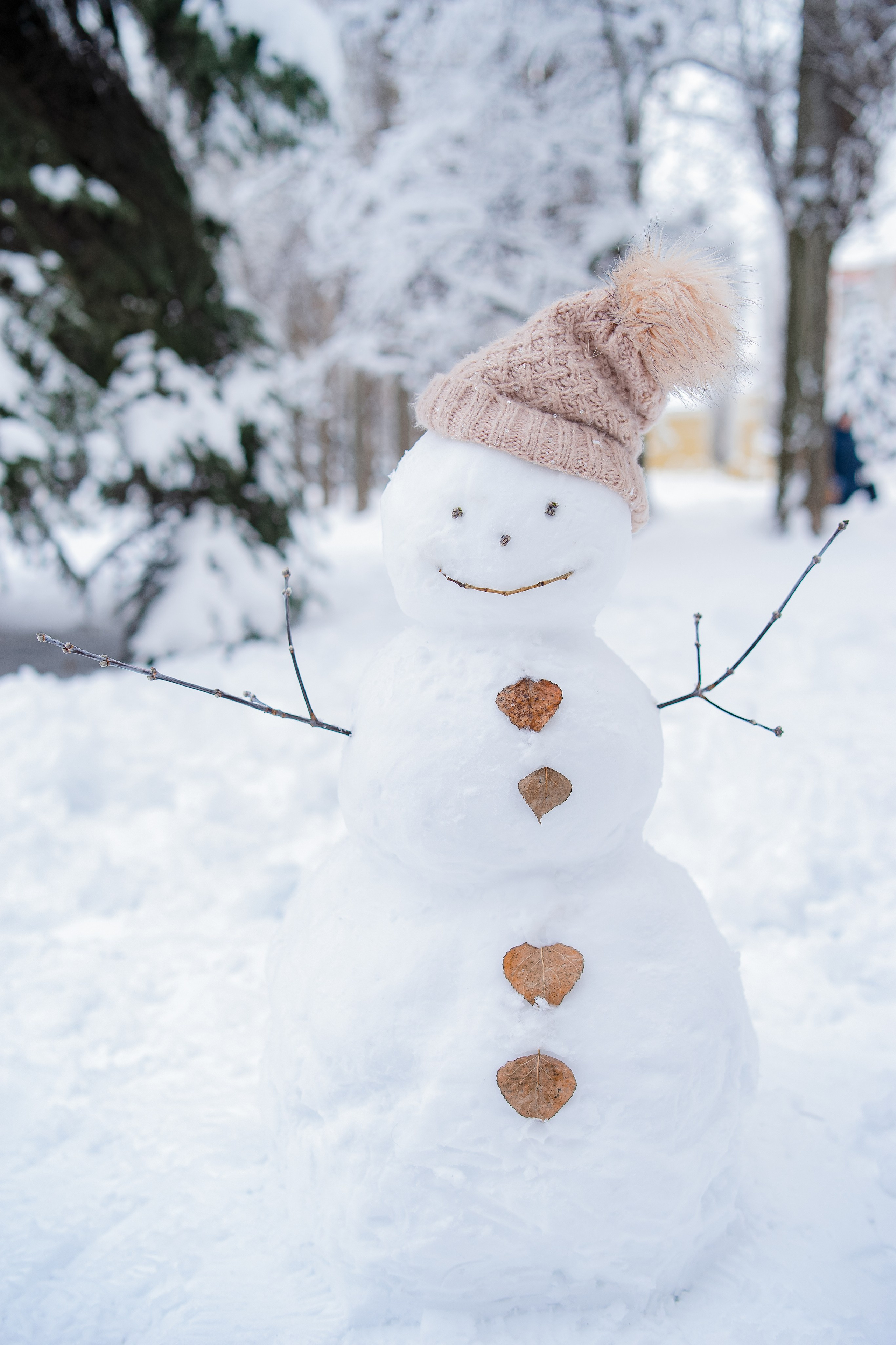 Снеговик. Фотограф Людмила Панюхина г. Нижний Новгород