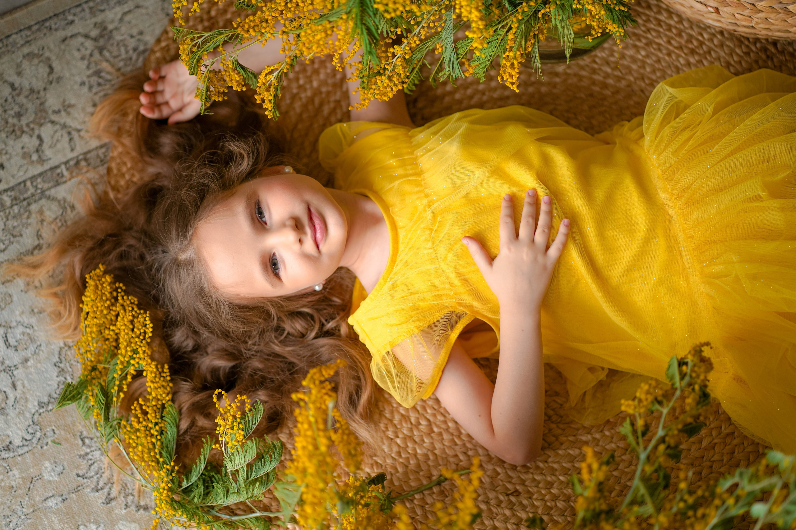 Мимоза. Фотограф Татьяна Митрофанова