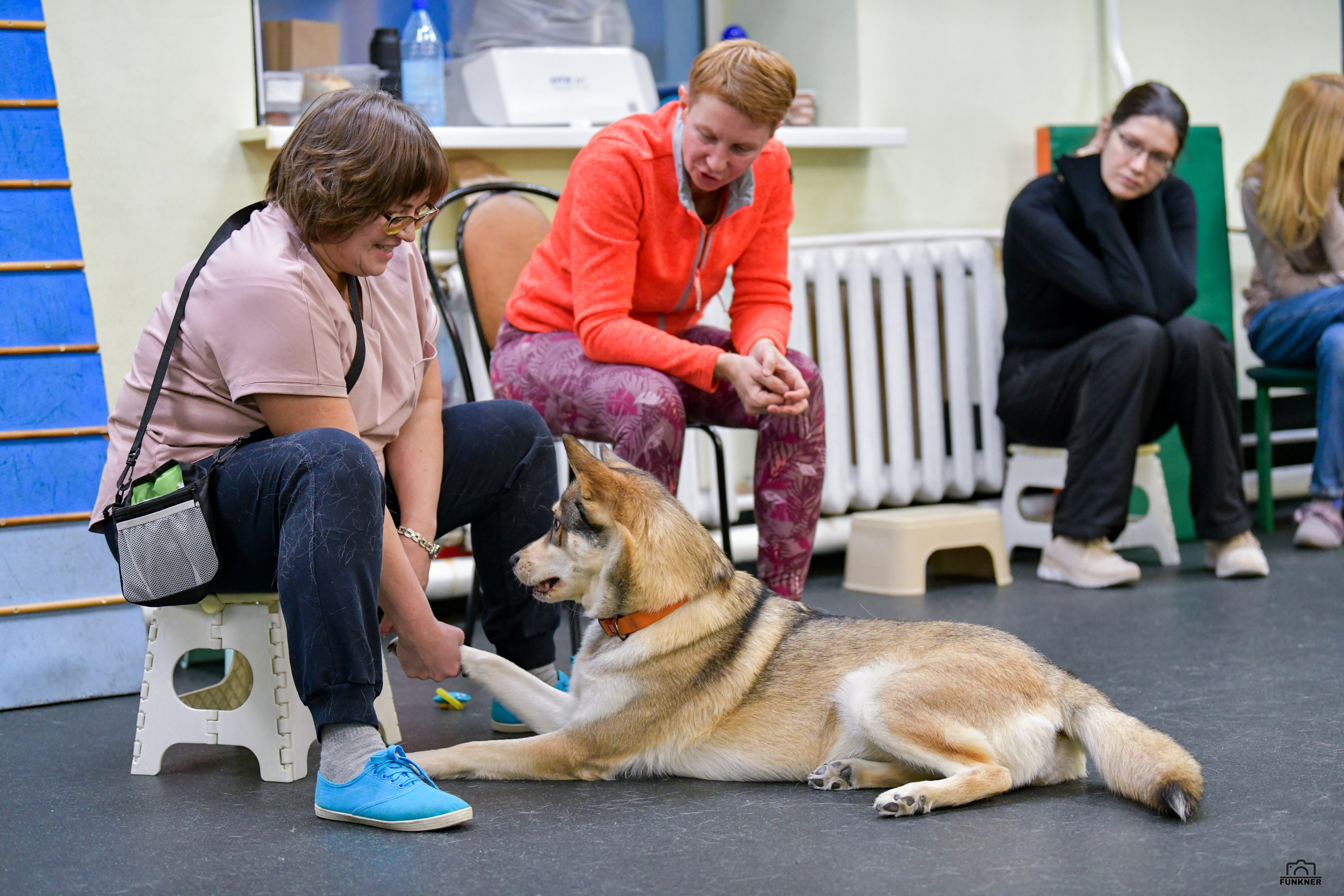Кинологический клуб «Бодрый хвост». Свой взгляд через объектив