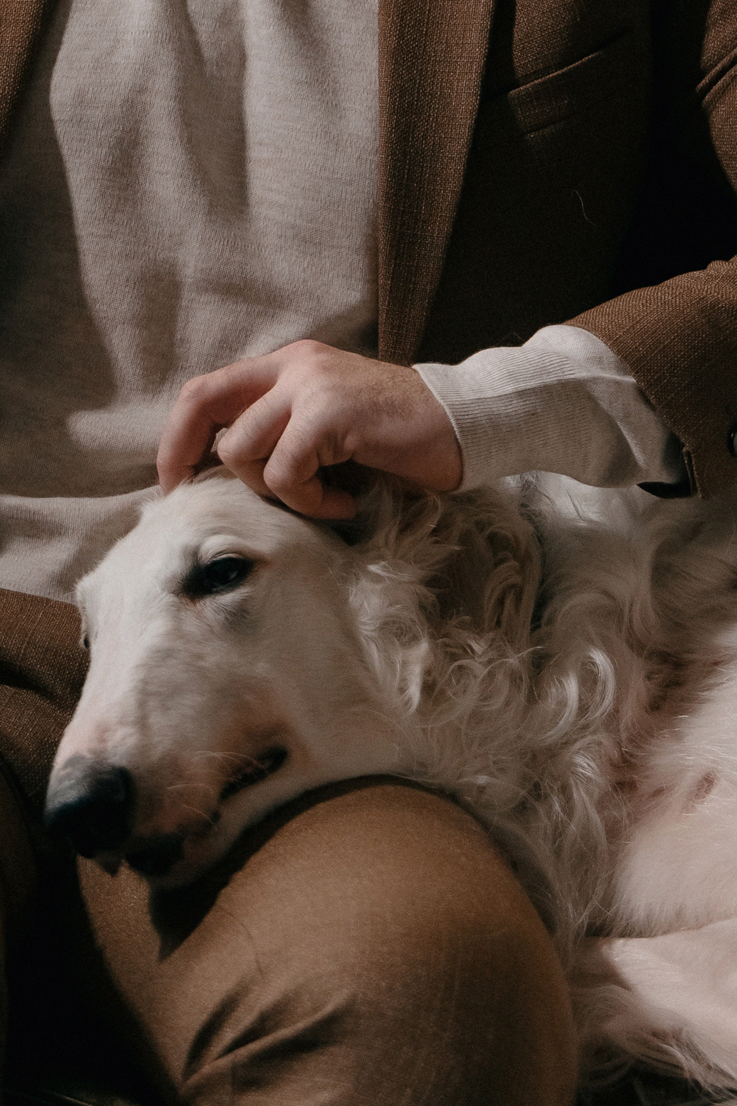 Свадебная фотосессия в дворянском стиле. Свадебный фотограф Москва