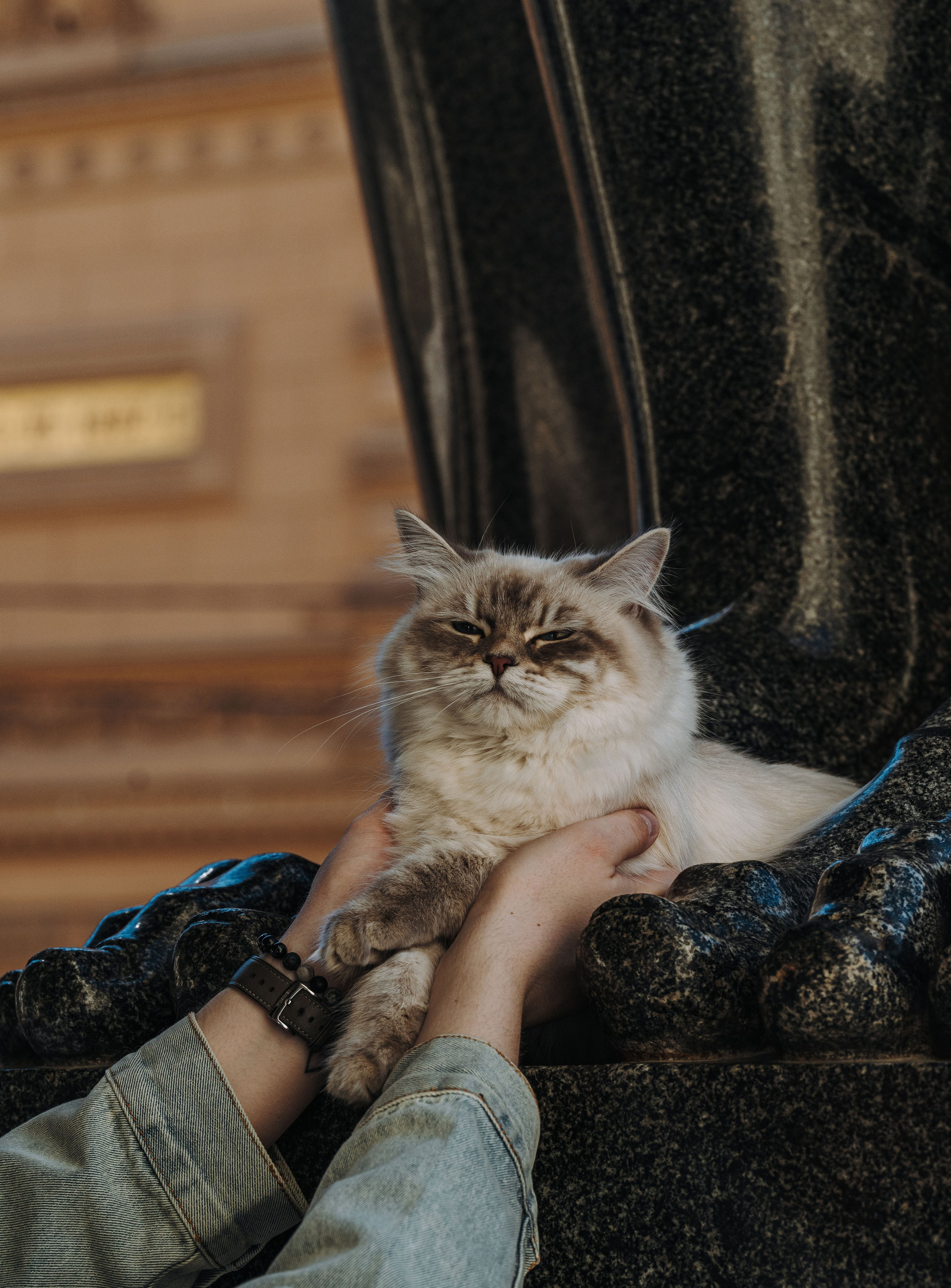 Сильвия, Полина и Никита. Фотограф анималист в Спб недорого Олеся Майорова