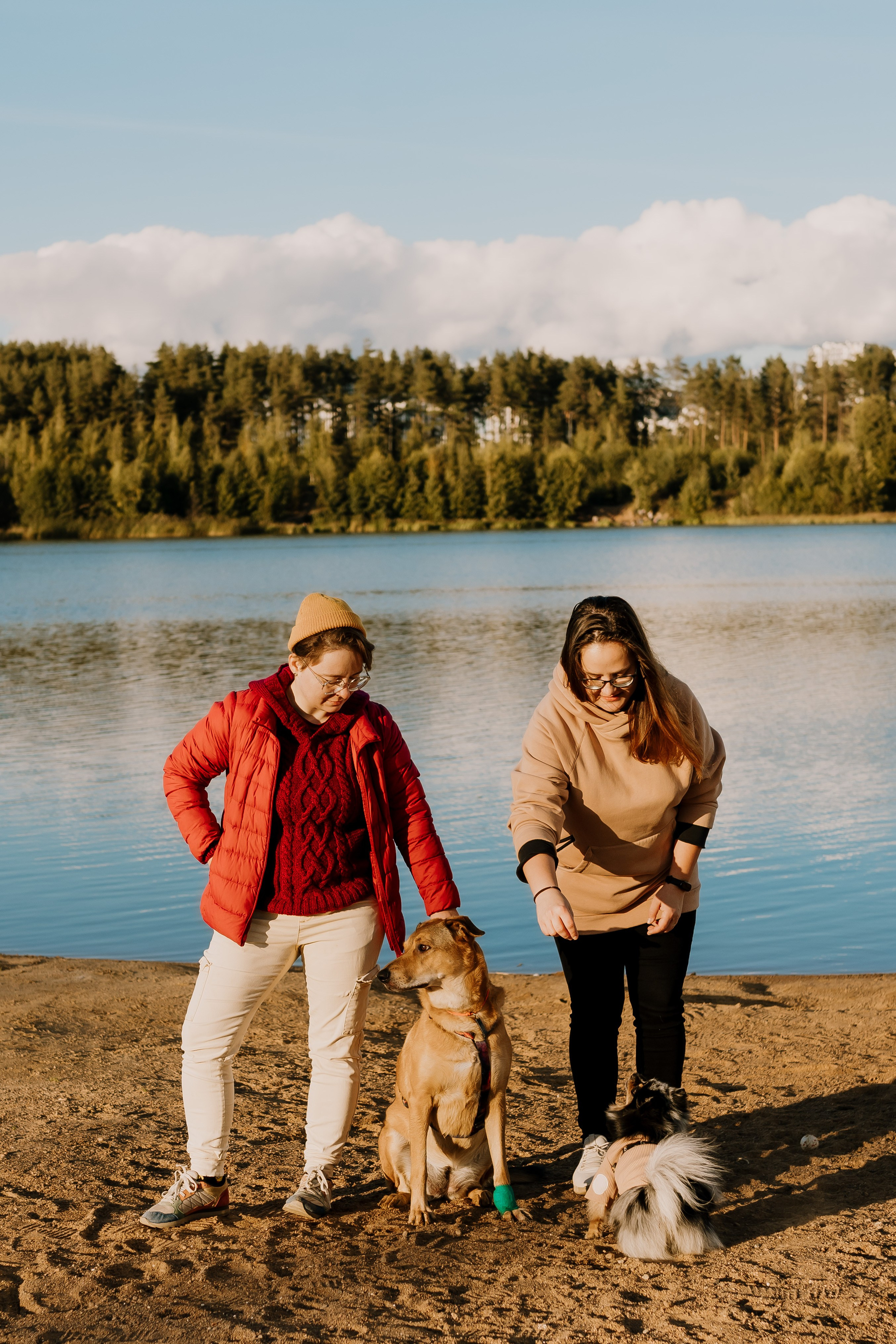 Семейная фотосессия с двумя собаками на закате. Фотограф анималист в Спб недорого Олеся Майорова