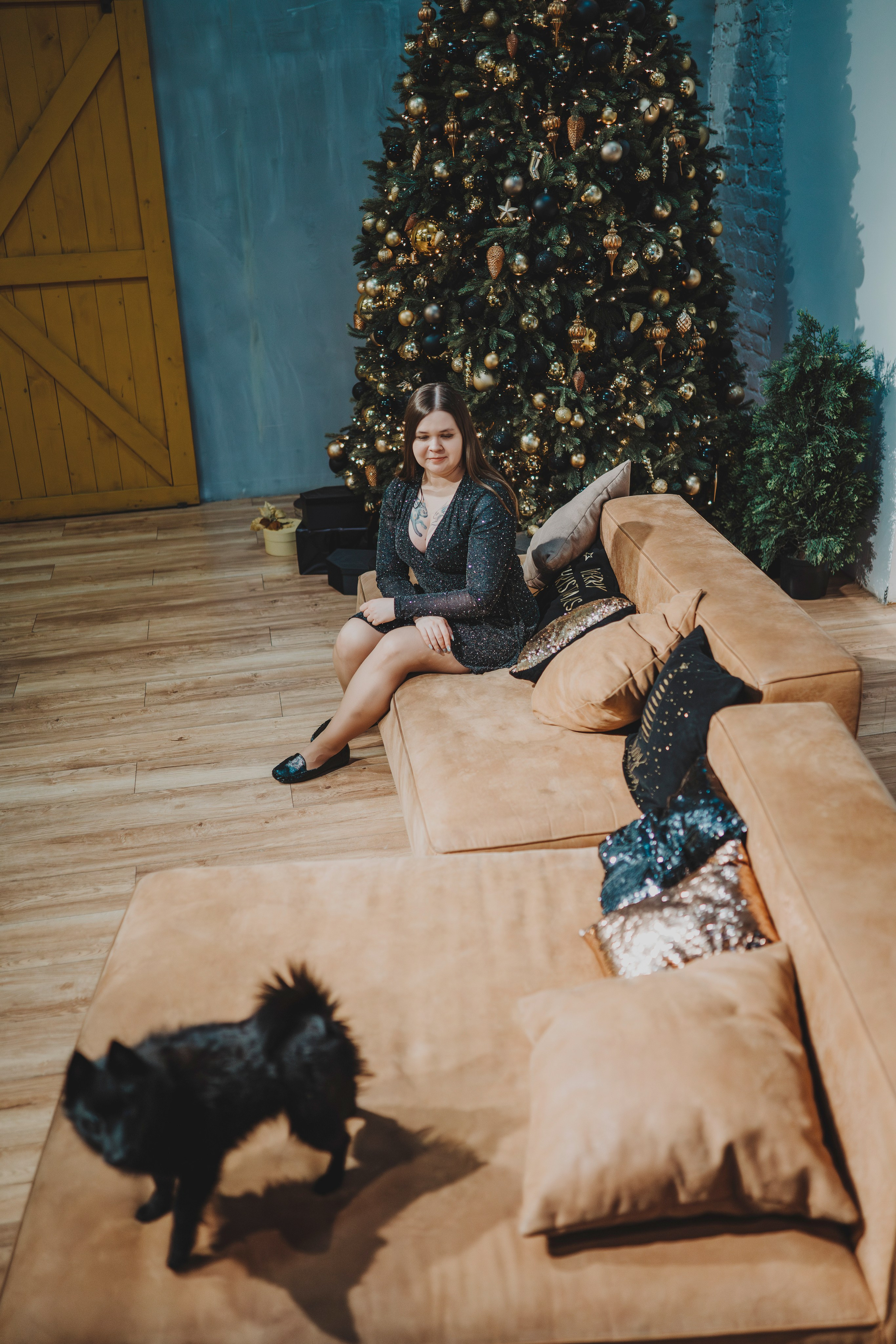 Аня, Андуин и Тесс. Фотограф анималист в Спб недорого Олеся Майорова