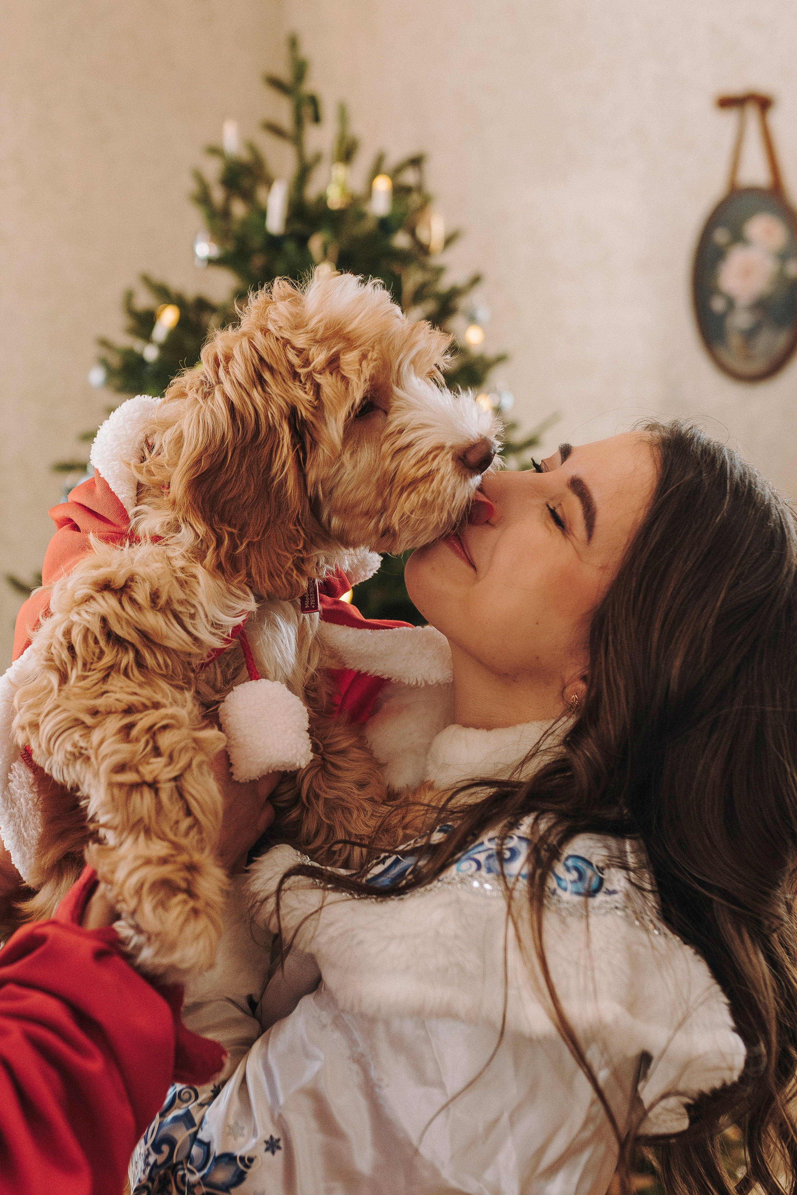 Мёрфи, Таня и Антон. Фотограф анималист в Спб недорого Олеся Майорова