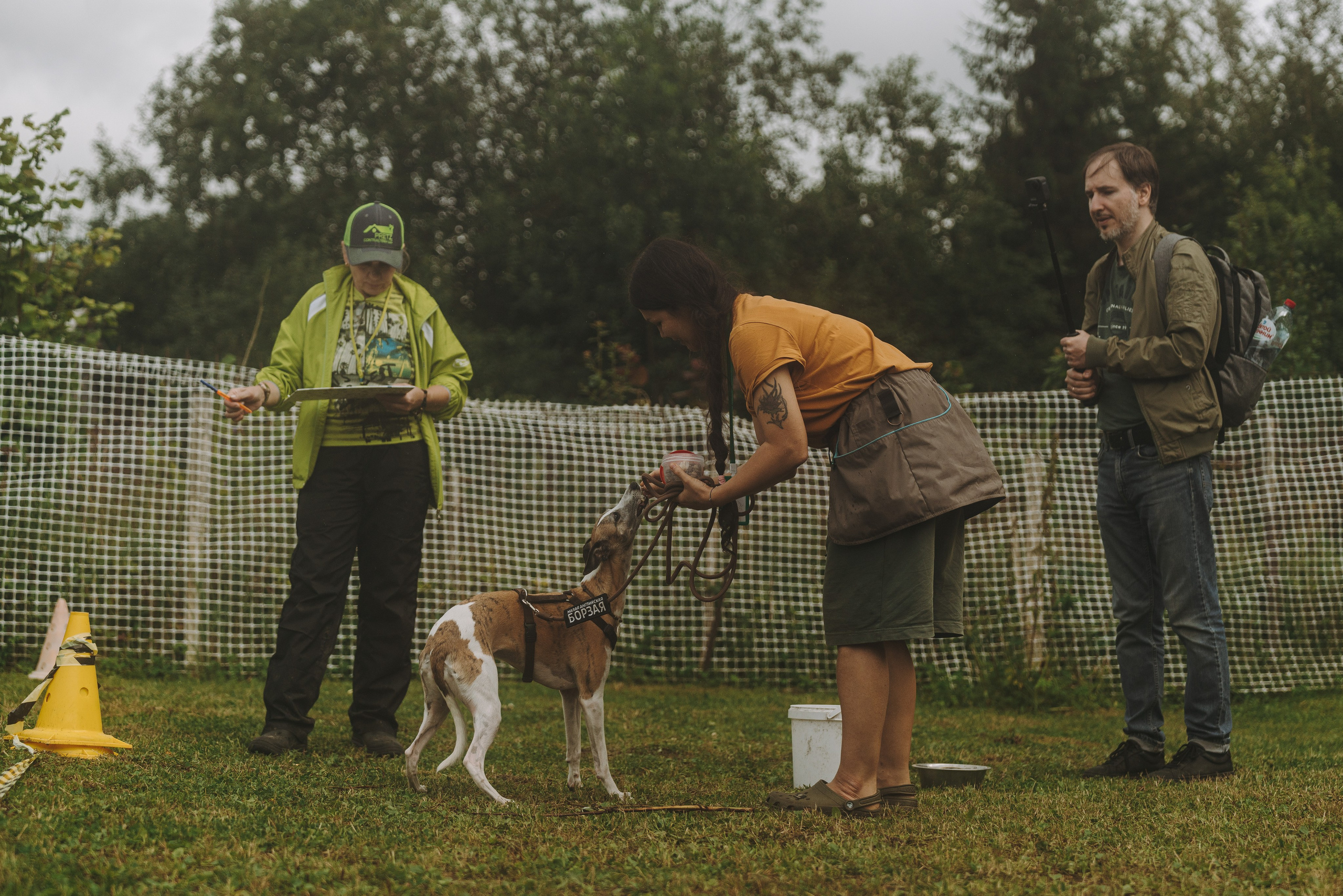 Соревнования по ноузворку в Новожилово. Фотограф анималист в Спб недорого Олеся Майорова
