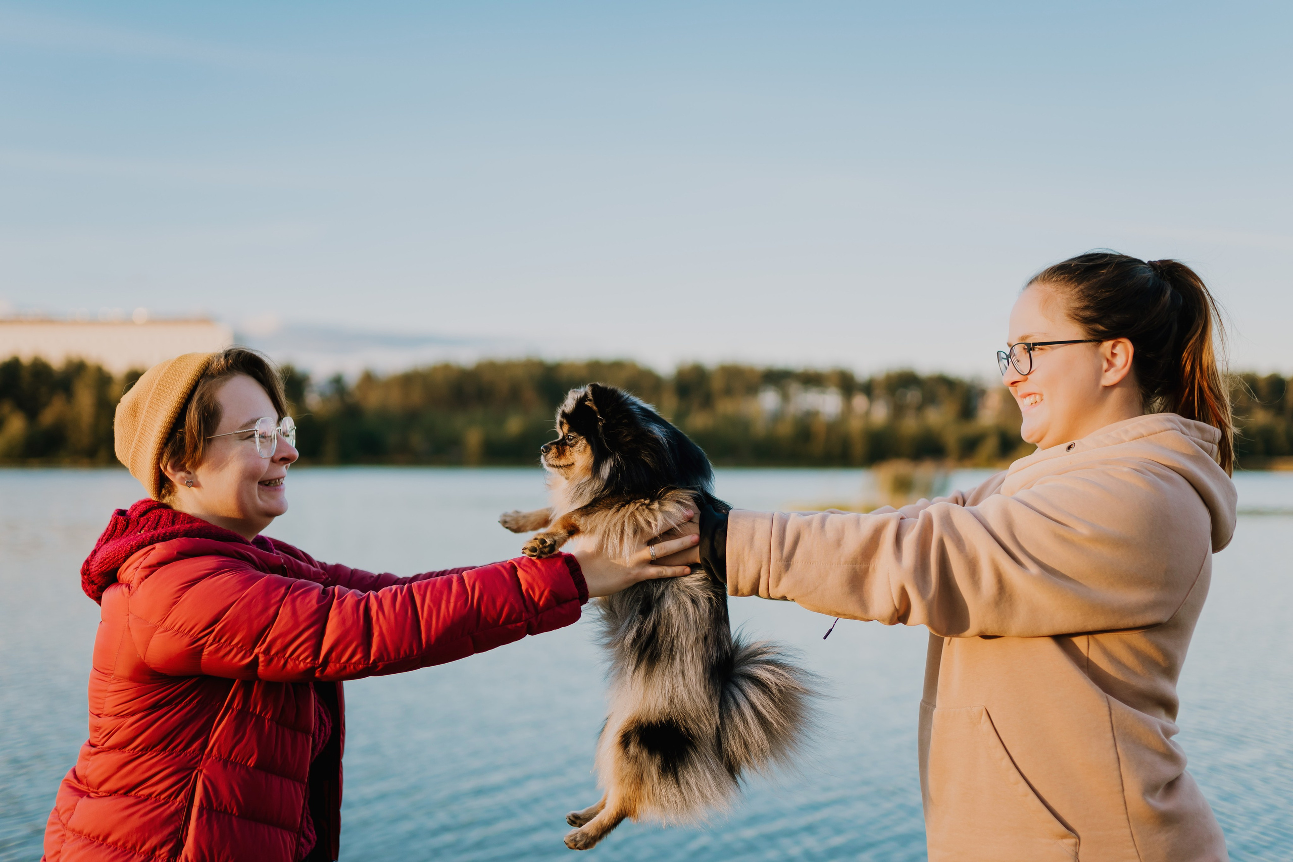 Семейная фотосессия с двумя собаками на закате. Фотограф анималист в Спб недорого Олеся Майорова