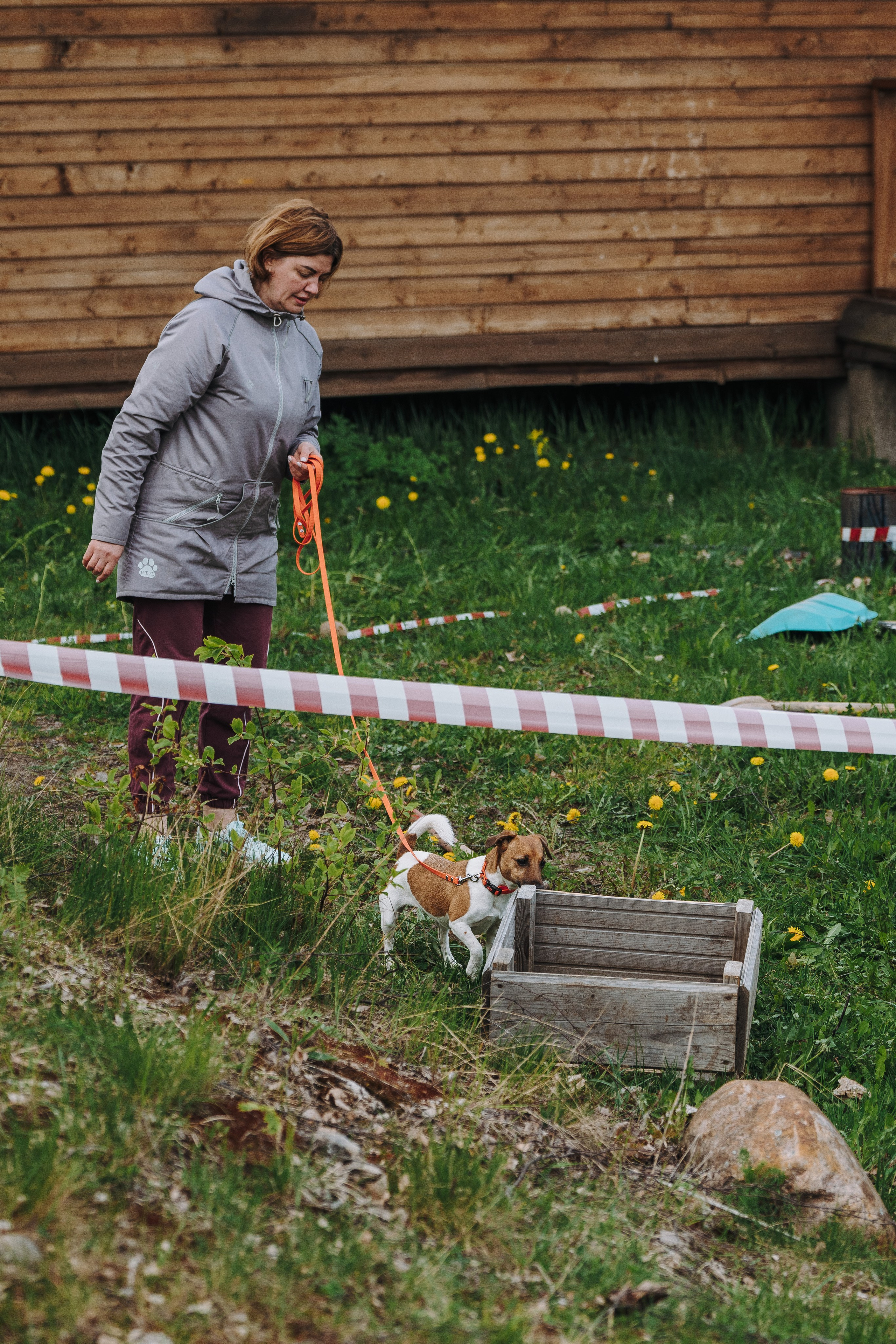 Соревнования по ноузворку в Лосево. Фотограф анималист в Спб недорого Олеся Майорова