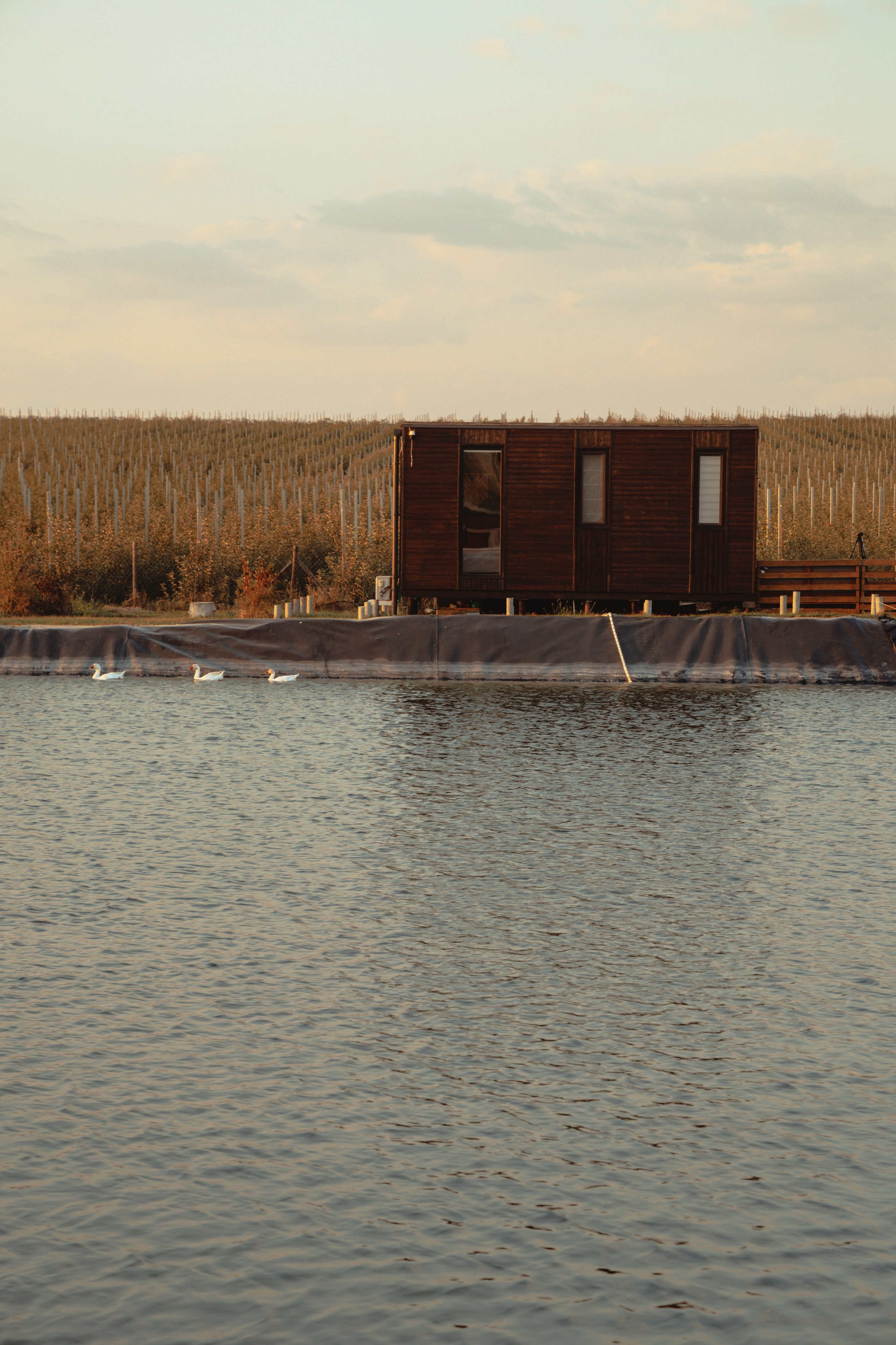 Domik в саду. Артем Корнев Фотограф