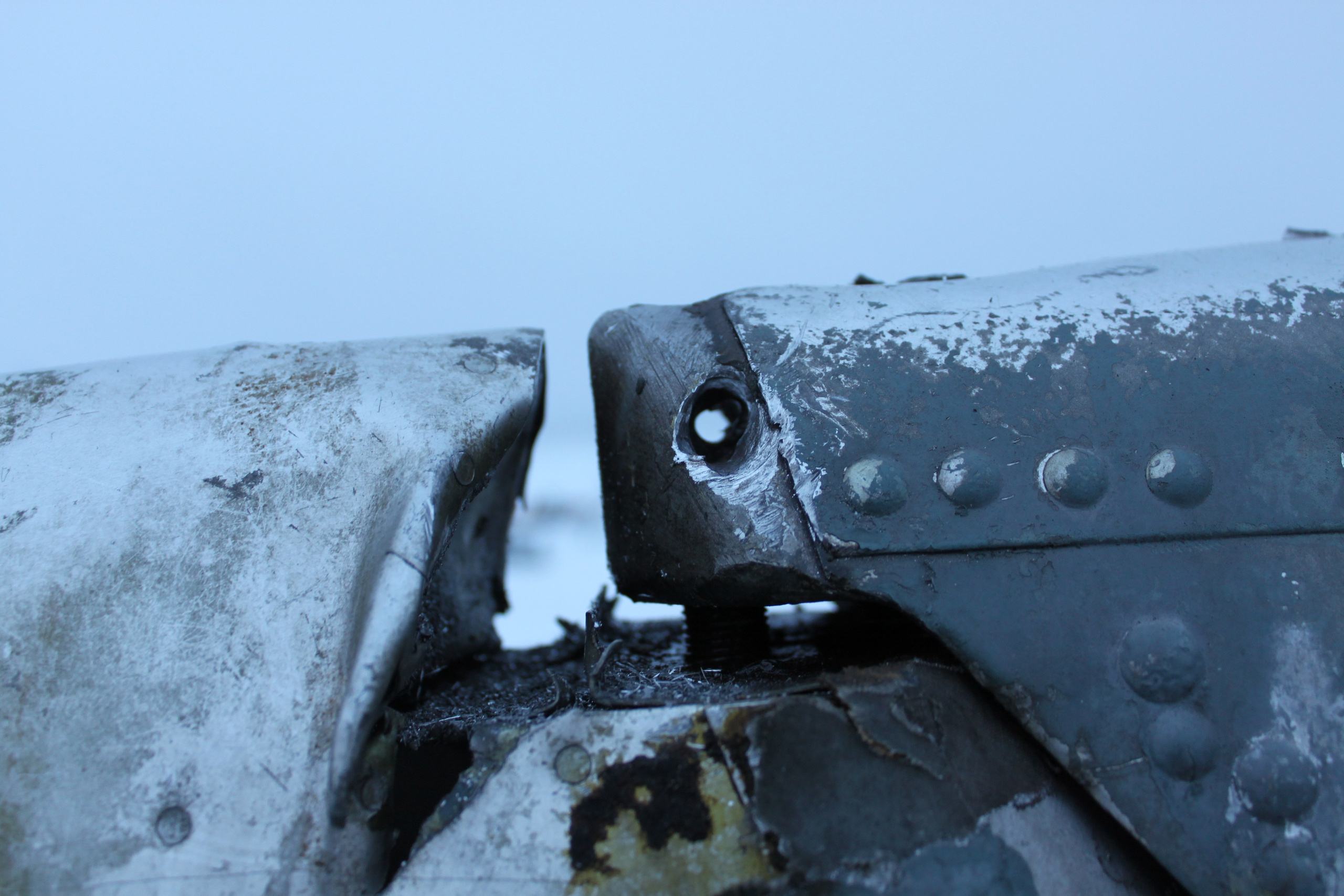 Ил-14Т «Голубая Мечта» работы в Тушино (2011 г.). Фотоальбом показывающий увлекательный мир авиации и мир медведей Андрея Иванова