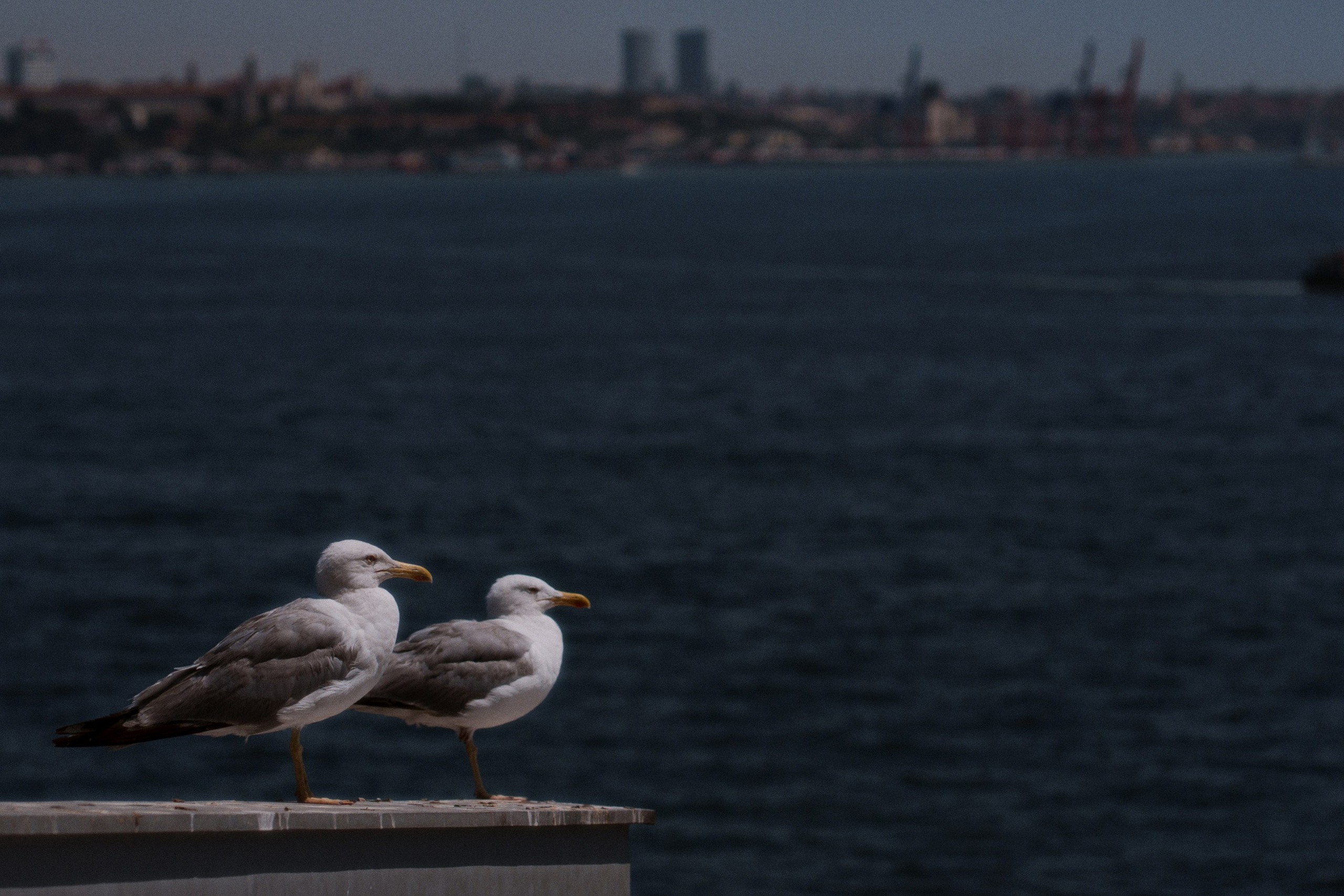 Istanbul Modern. Фотограф Юрин Евгений