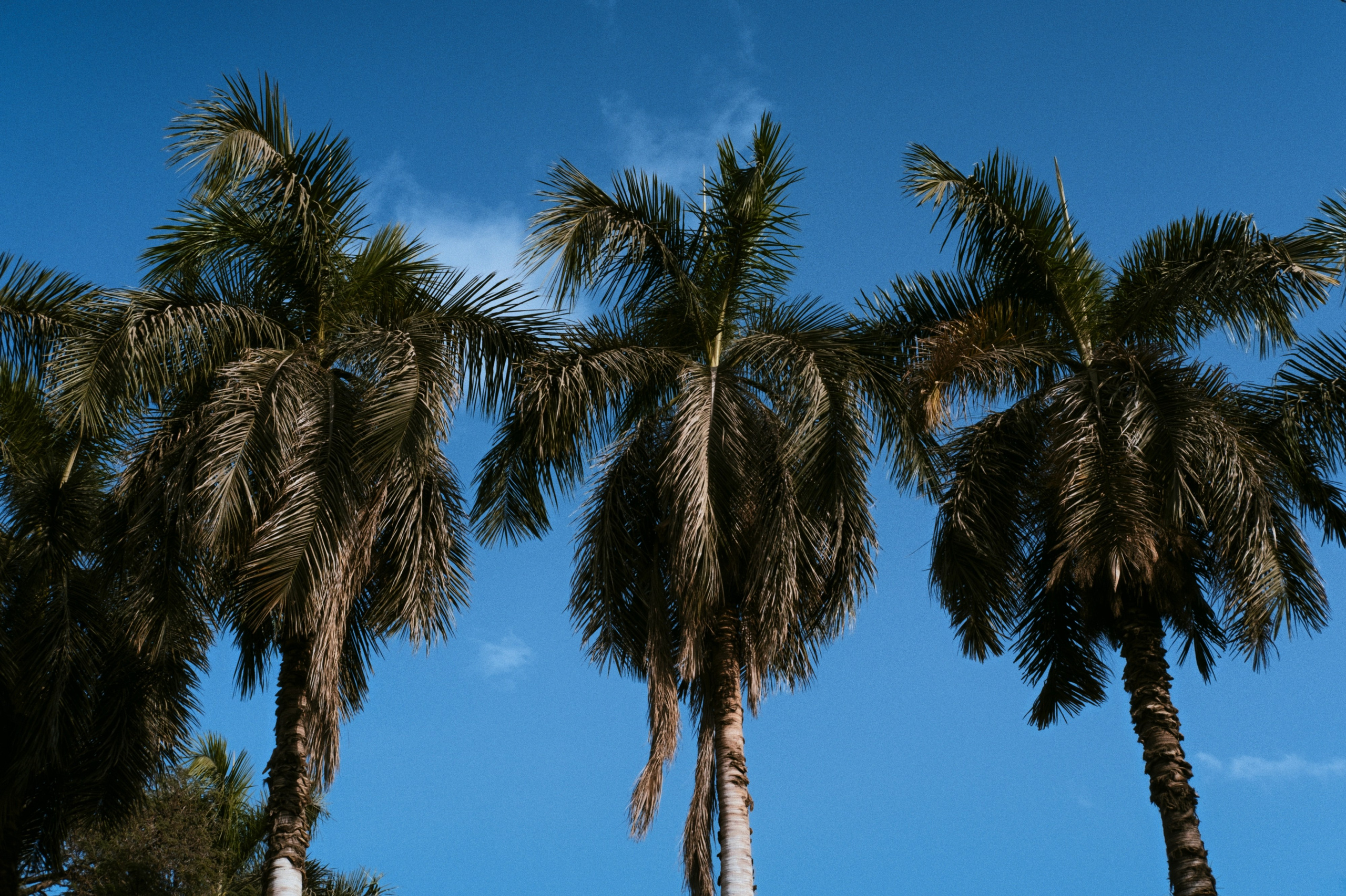 Cairo / Egypt AW25. Фотограф Юрин Евгений