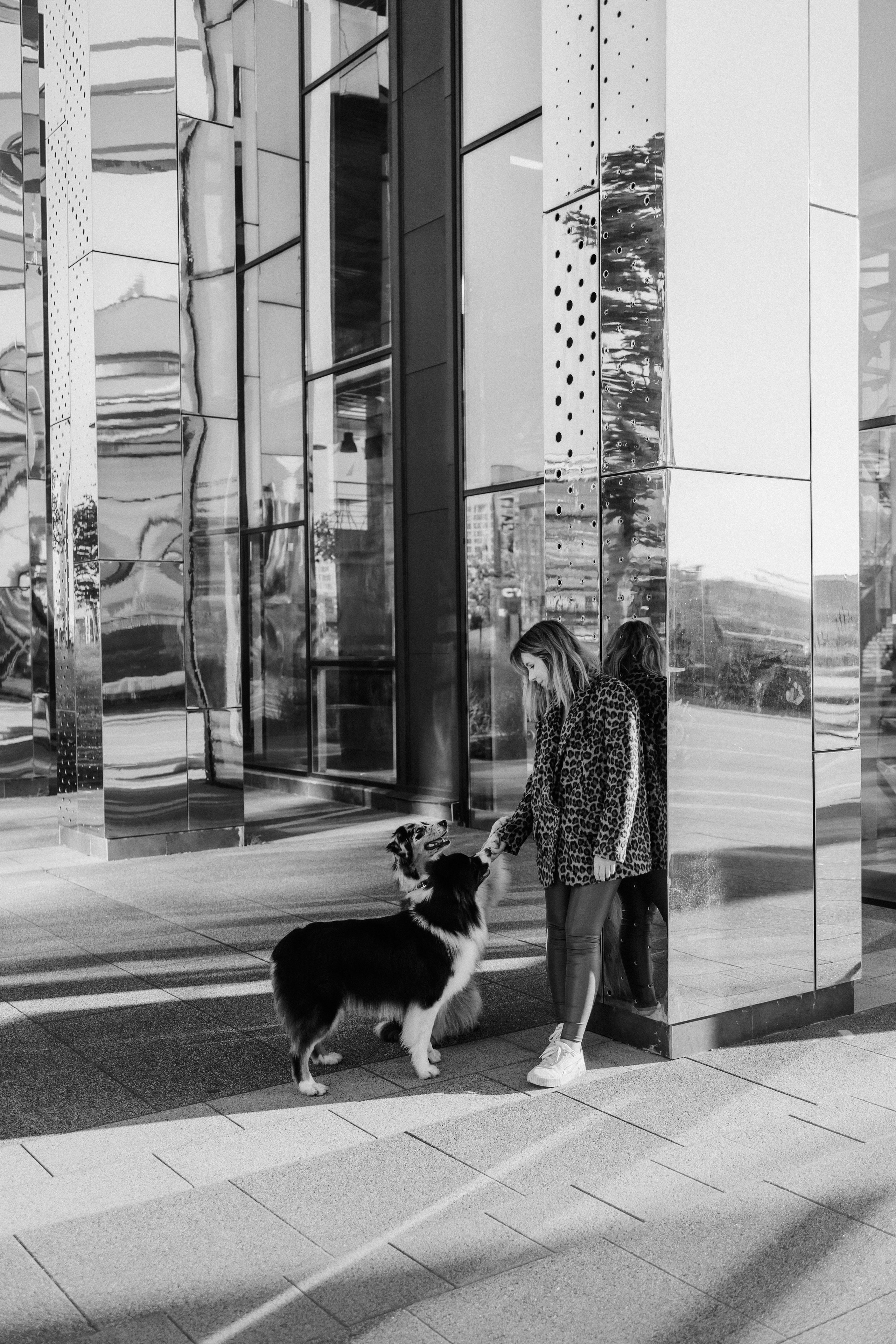 Аня, Чарли и Ева. Фотограф-анималист Елена Радченко, Москва