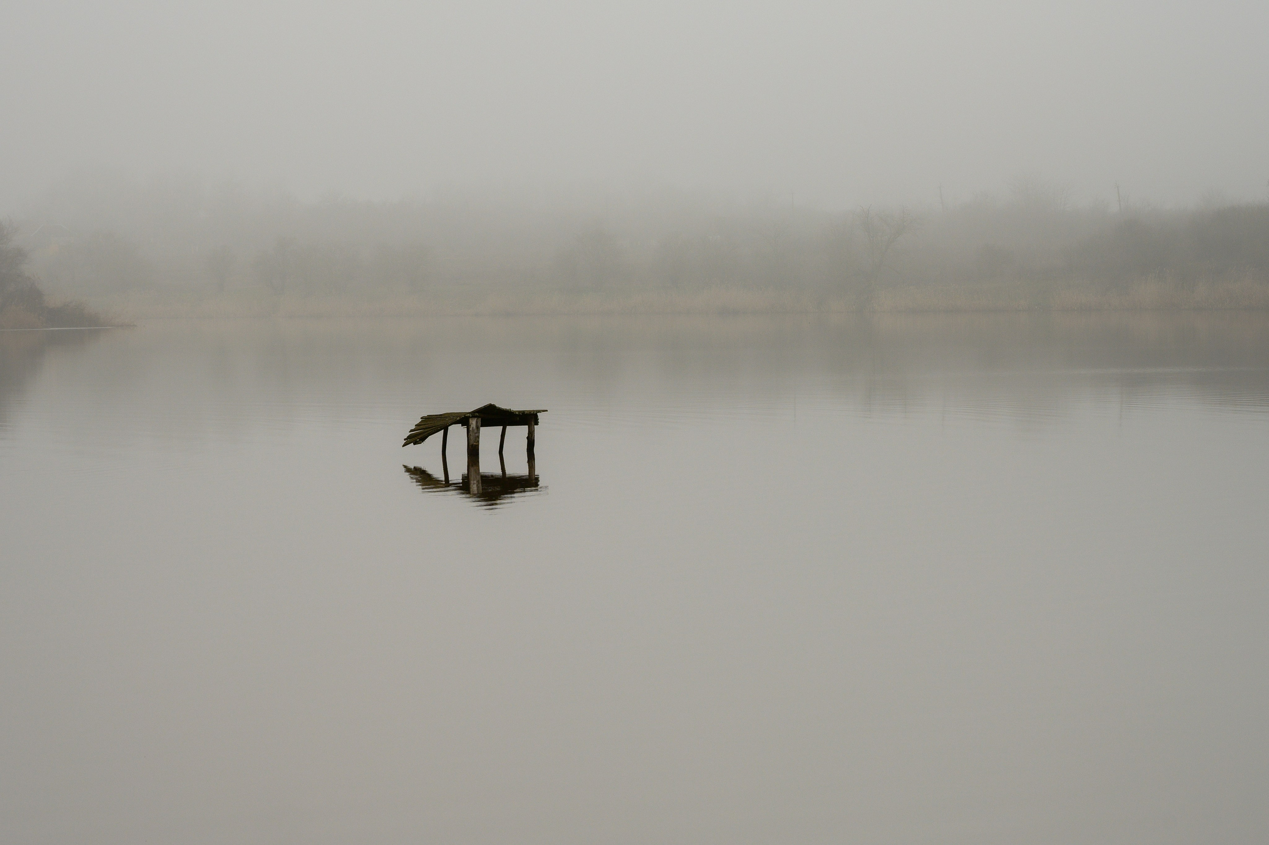 Туманное утро