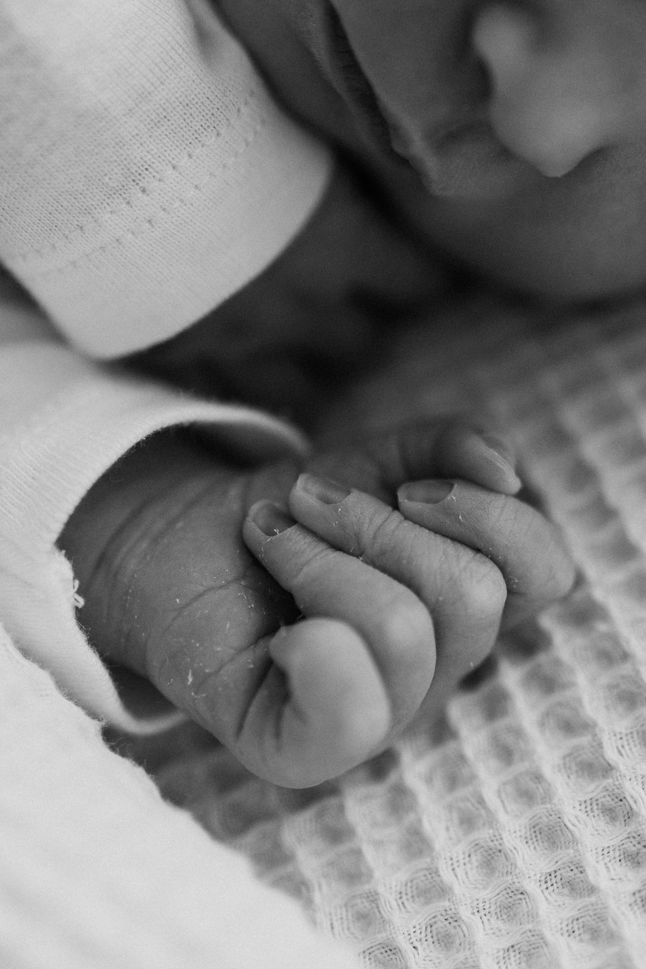 Элина, Рома, Майя. Семейный фотограф Москва