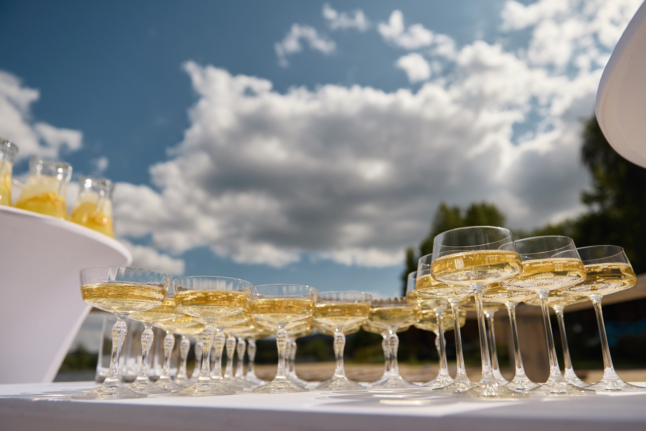 Александра и Алексей