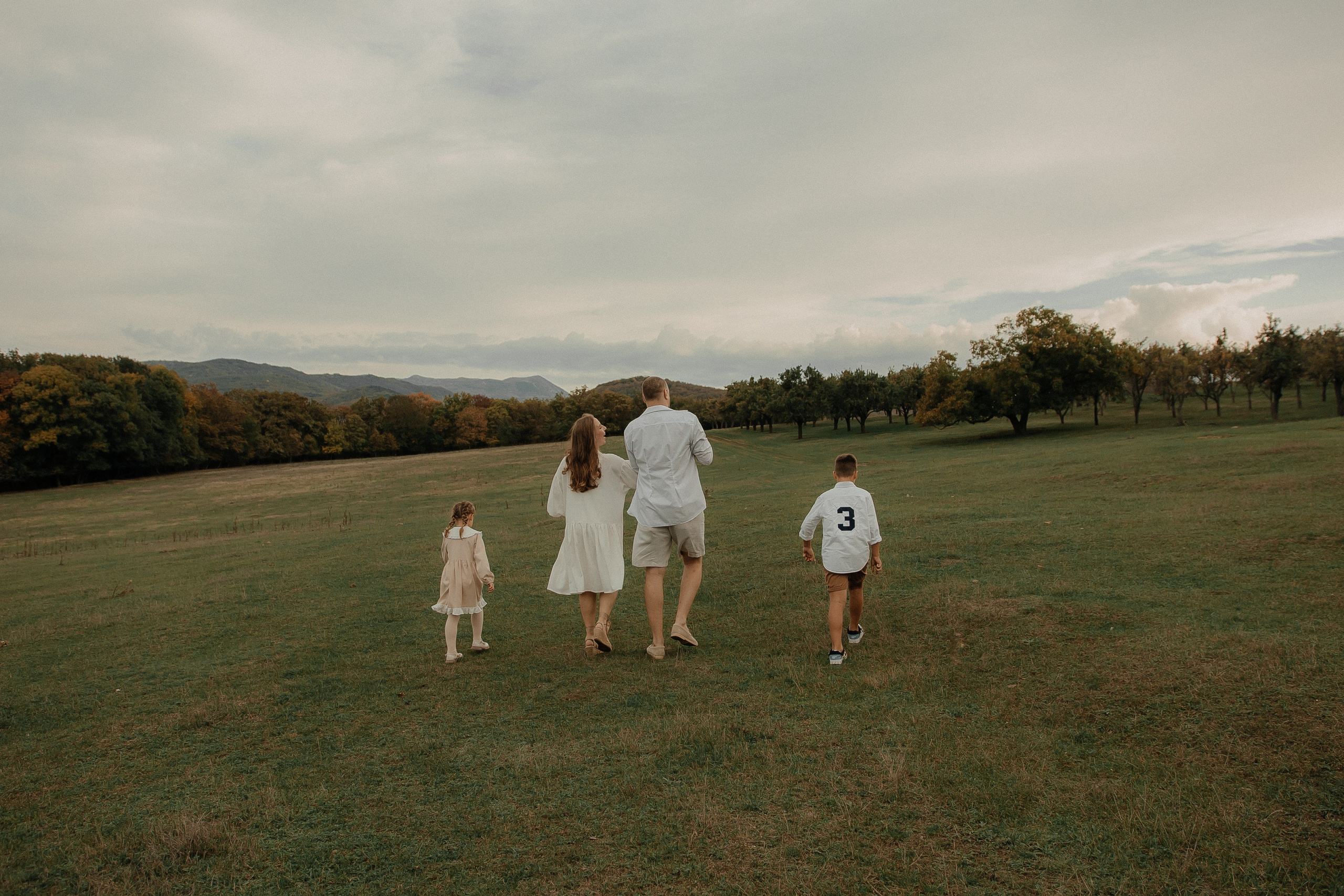 Условия и стоимость