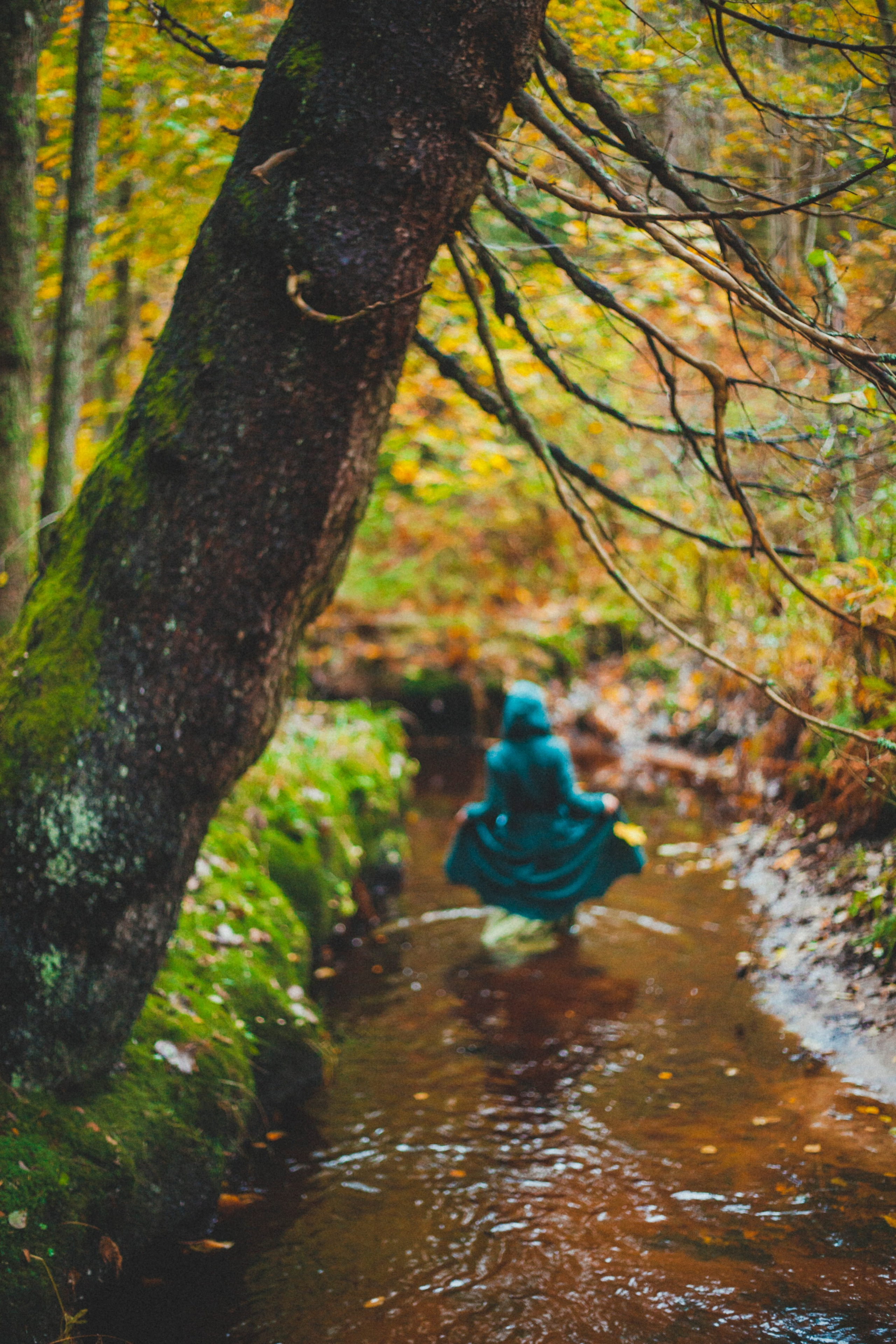 Фотограф Александра Степанова