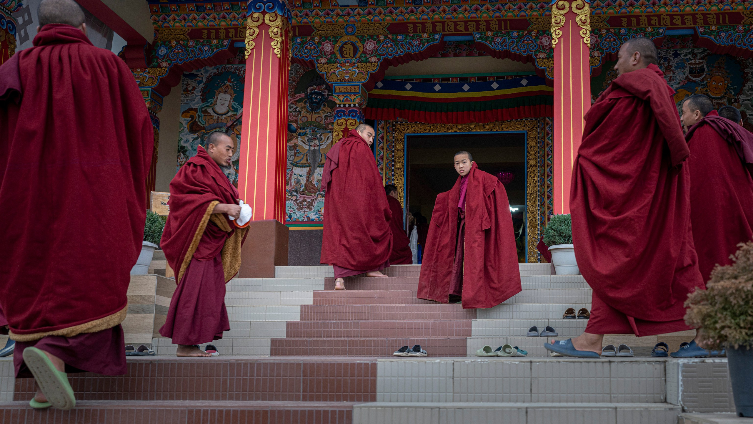 India travel. Фотограф Сергей Танков