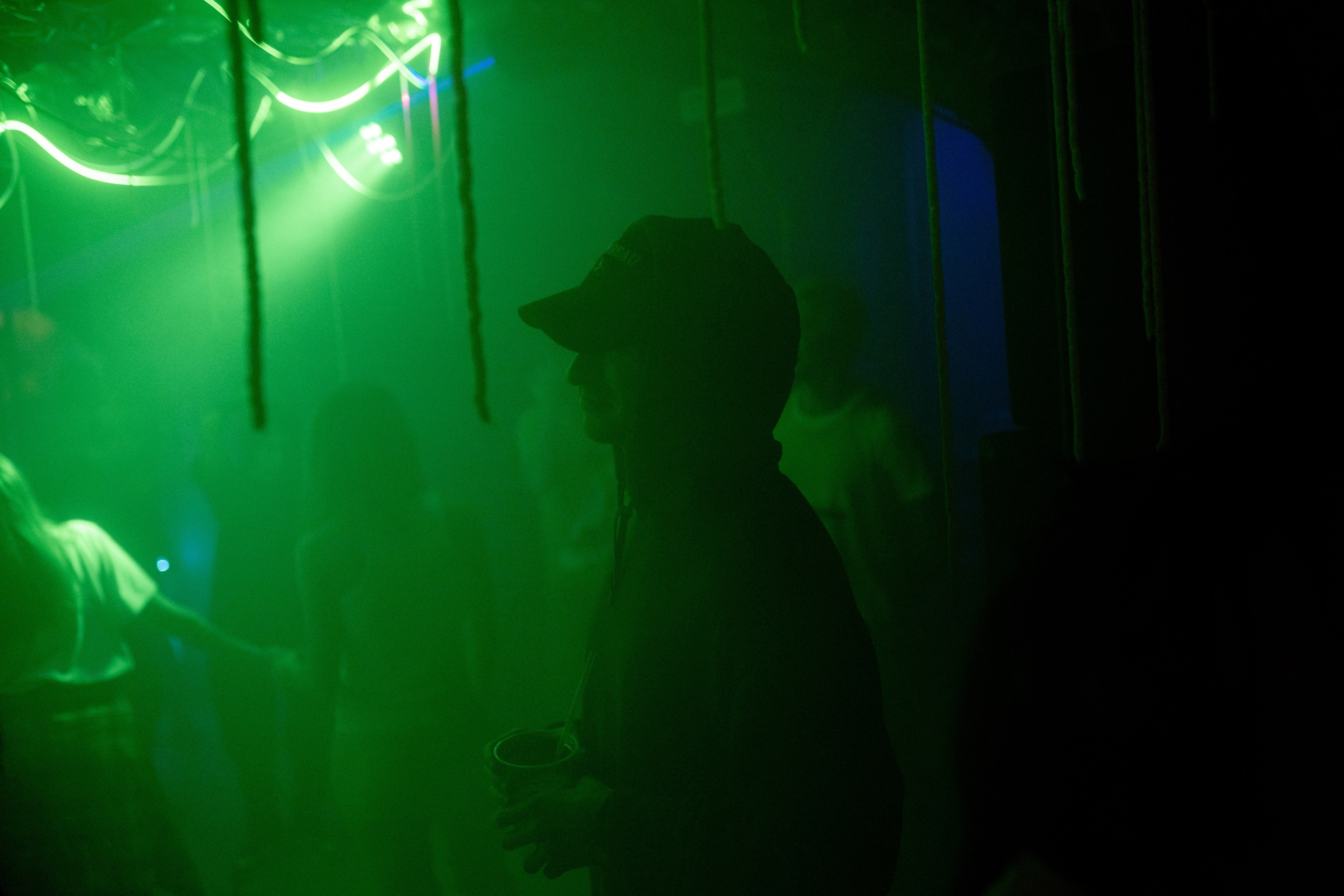 Кратная Звезда | JUNGLE WAVE. Фотограф Vika Rin