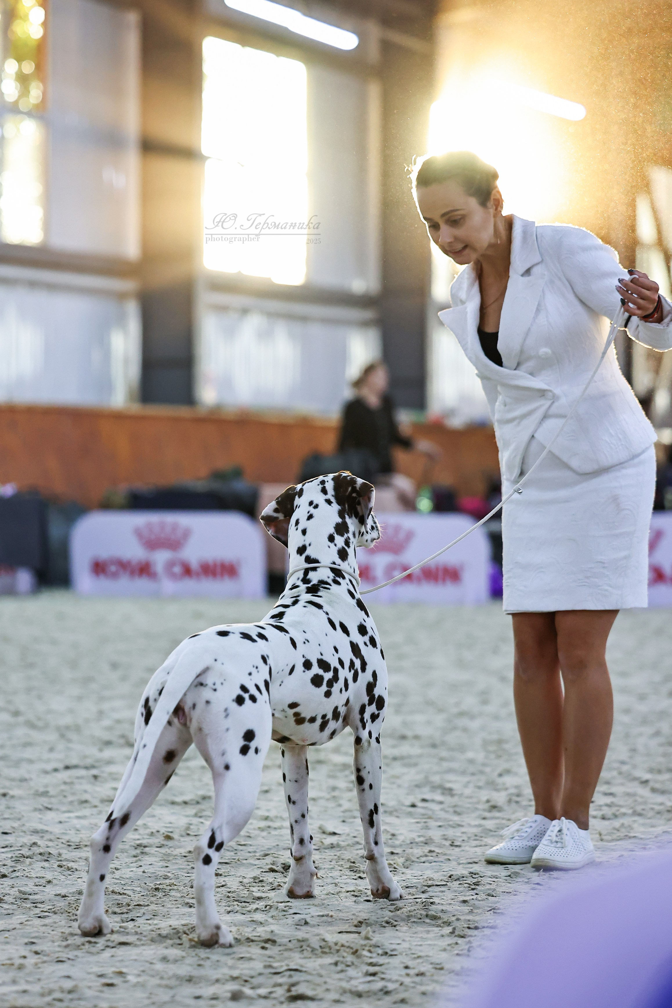 Астана 2хCACIB 26-28.09.2025. Фотограф-анималист Юлия Германика