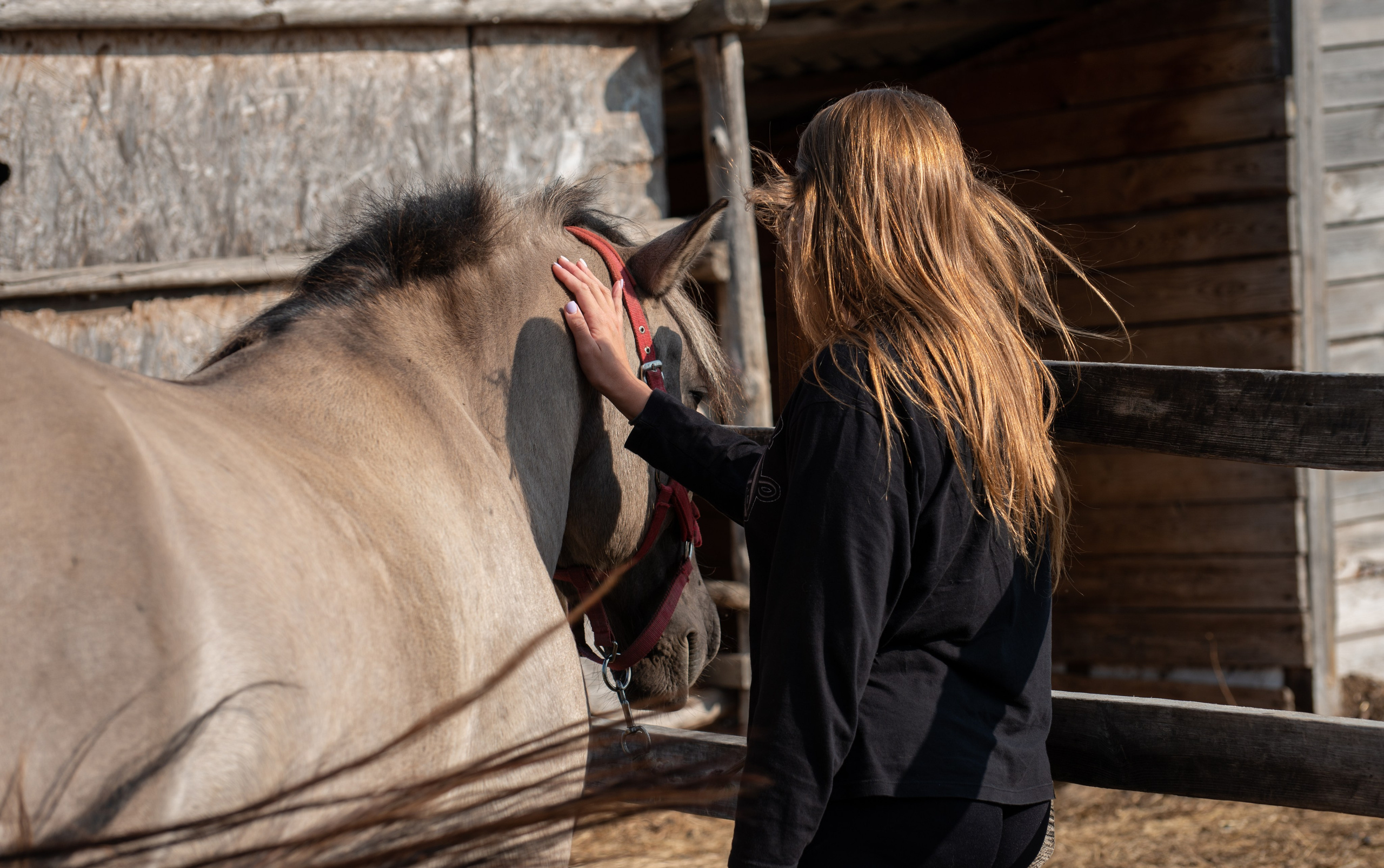 Гости в Родославном. Конный фотограф в Саратове Юлия Иванова