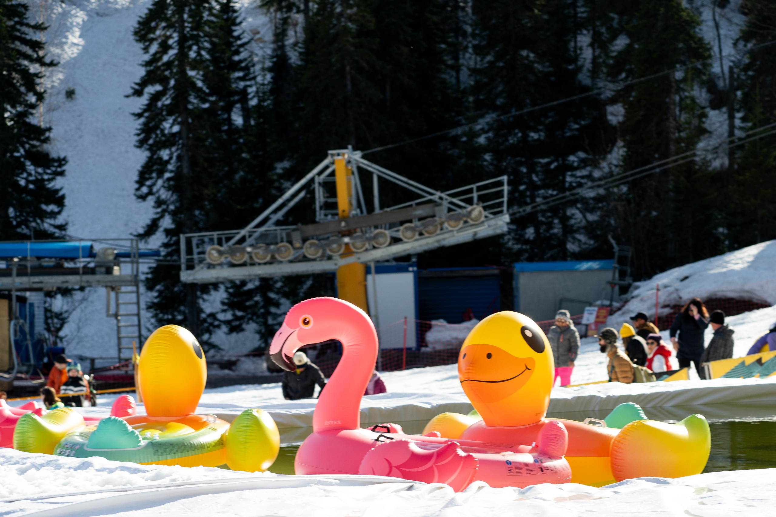 Грелка 20.04.24. Анастасия Паршукова — фотограф Шерегеш Новосибирск